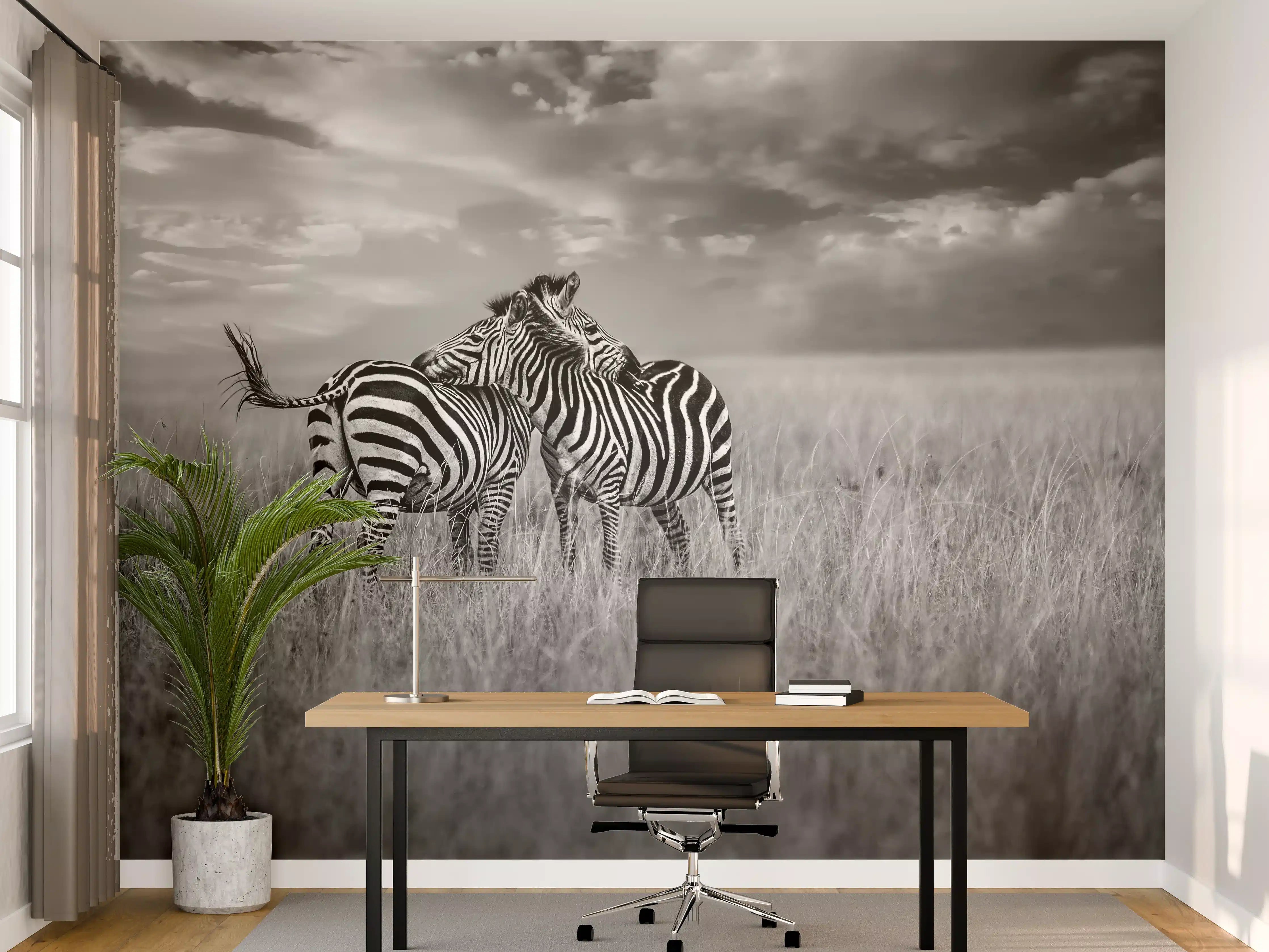 Büro Wandgestaltung - Zebras in ihrer Natur - Savanne