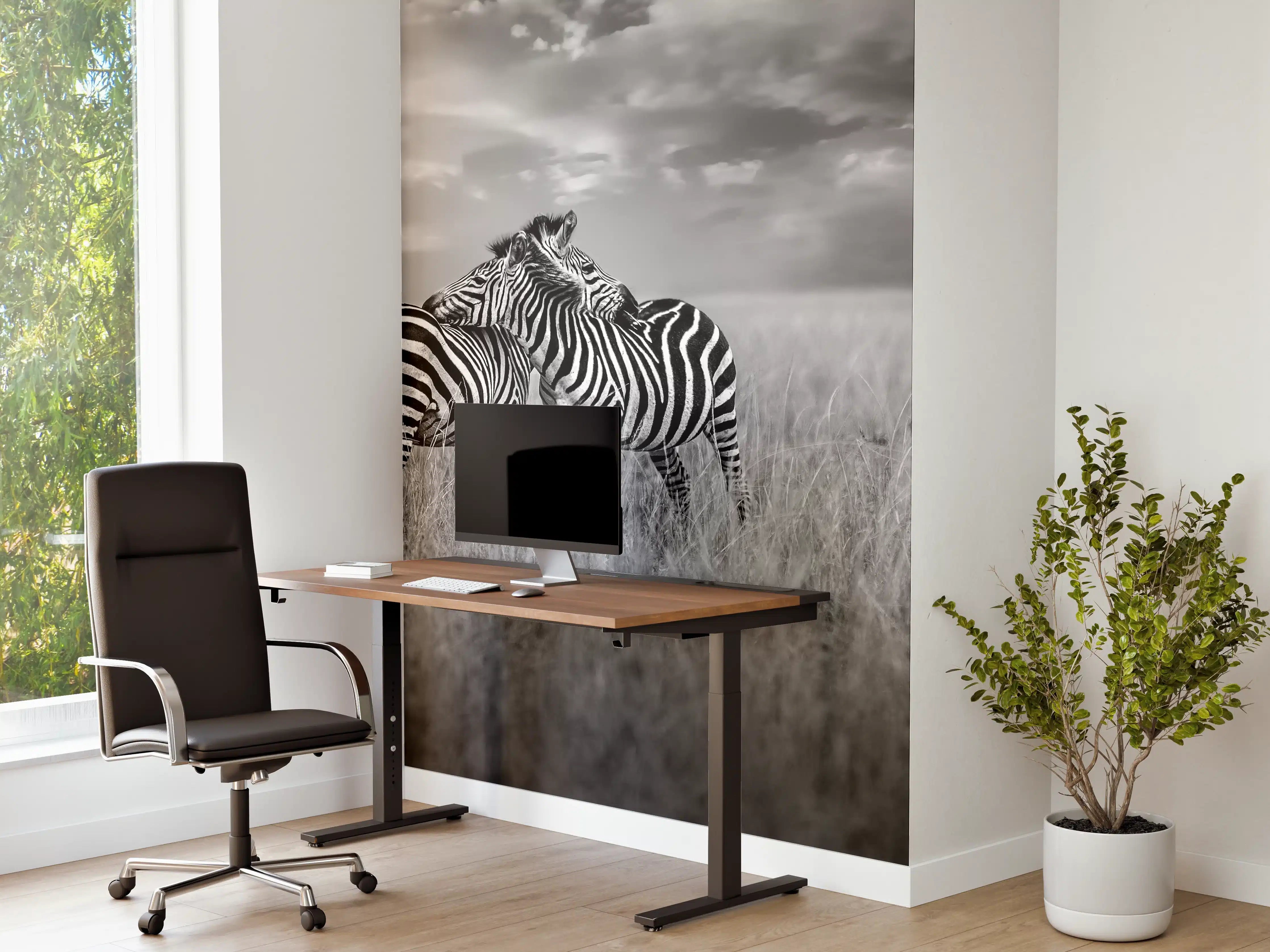 Büro Wandgestaltung - Zebras in ihrer Natur - Savanne