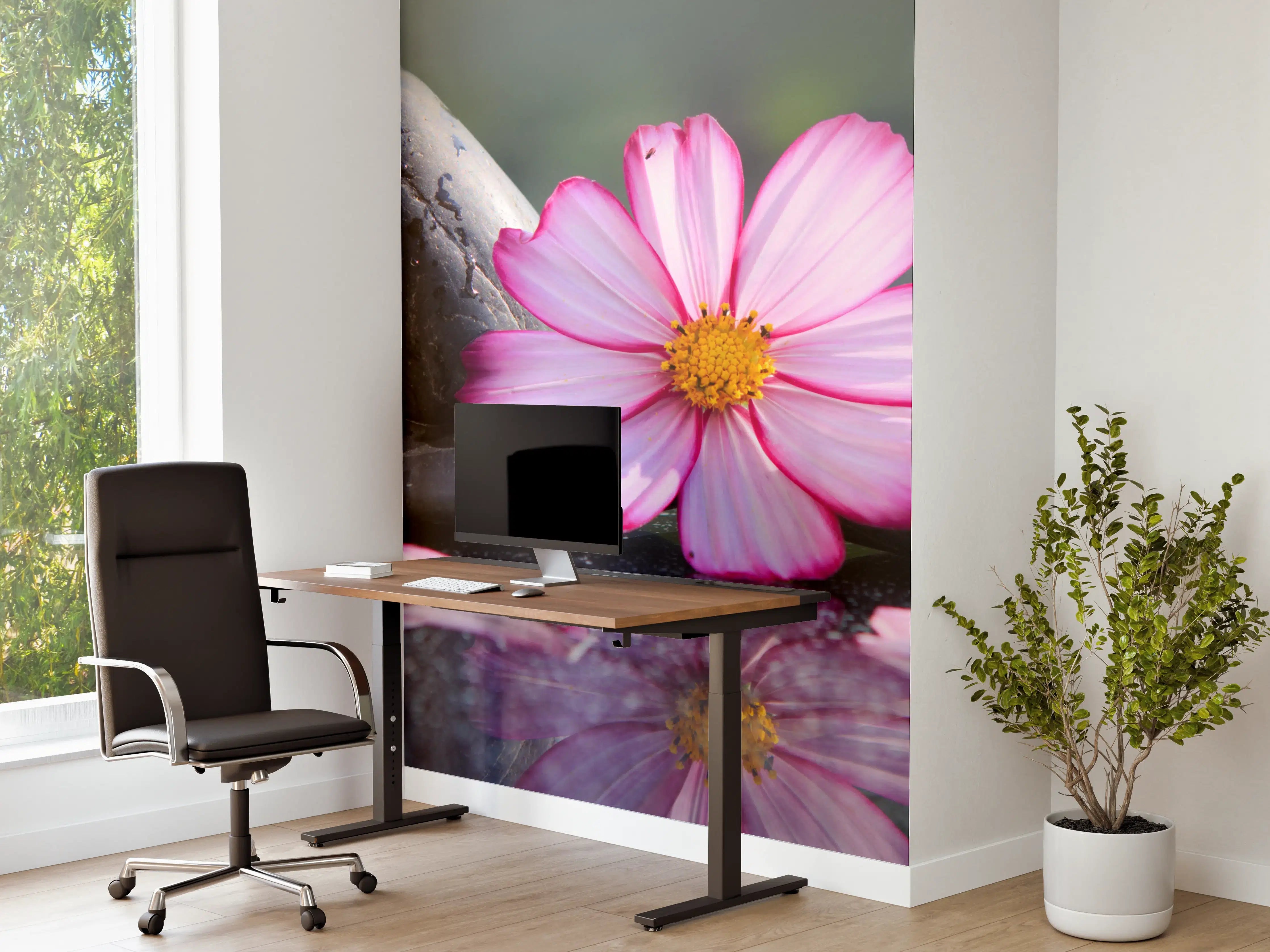 Büro Wandgestaltung - Zen-Steine mit Blume auf Wasseroberfläche