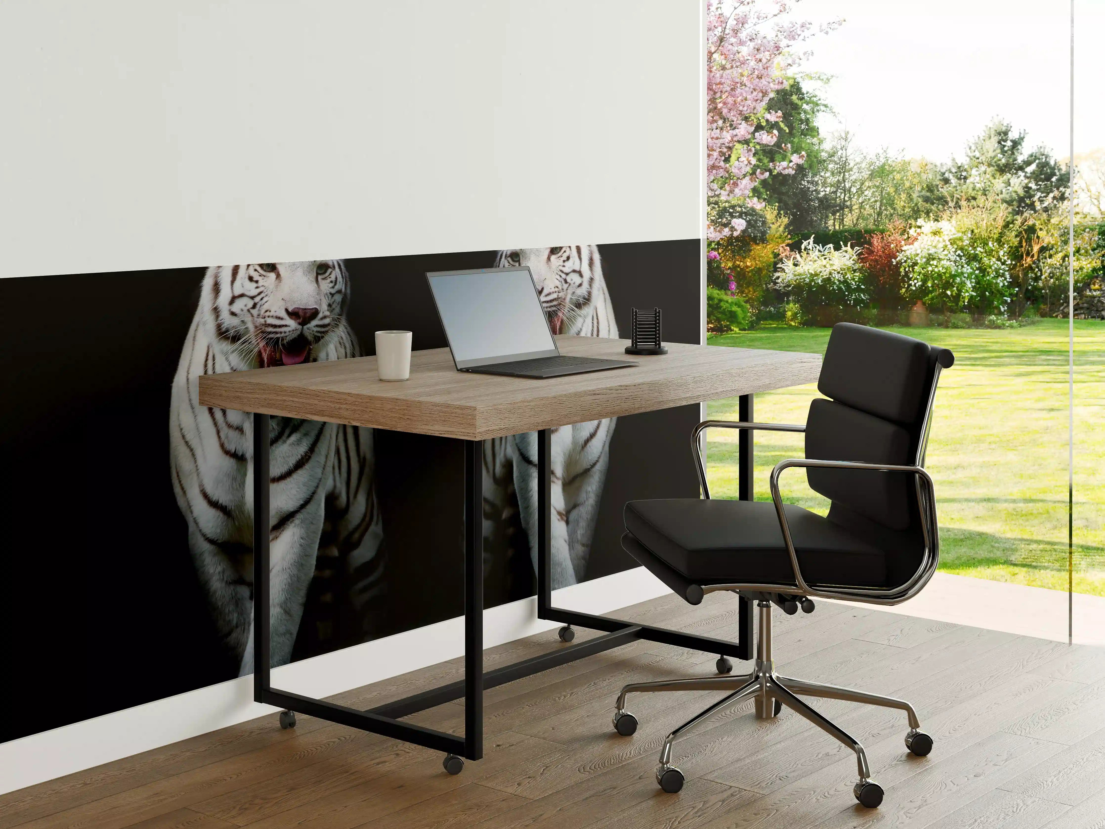 Büro Wandgestaltung - Zwei weiße Tiger auf schwarzem Hintergrund