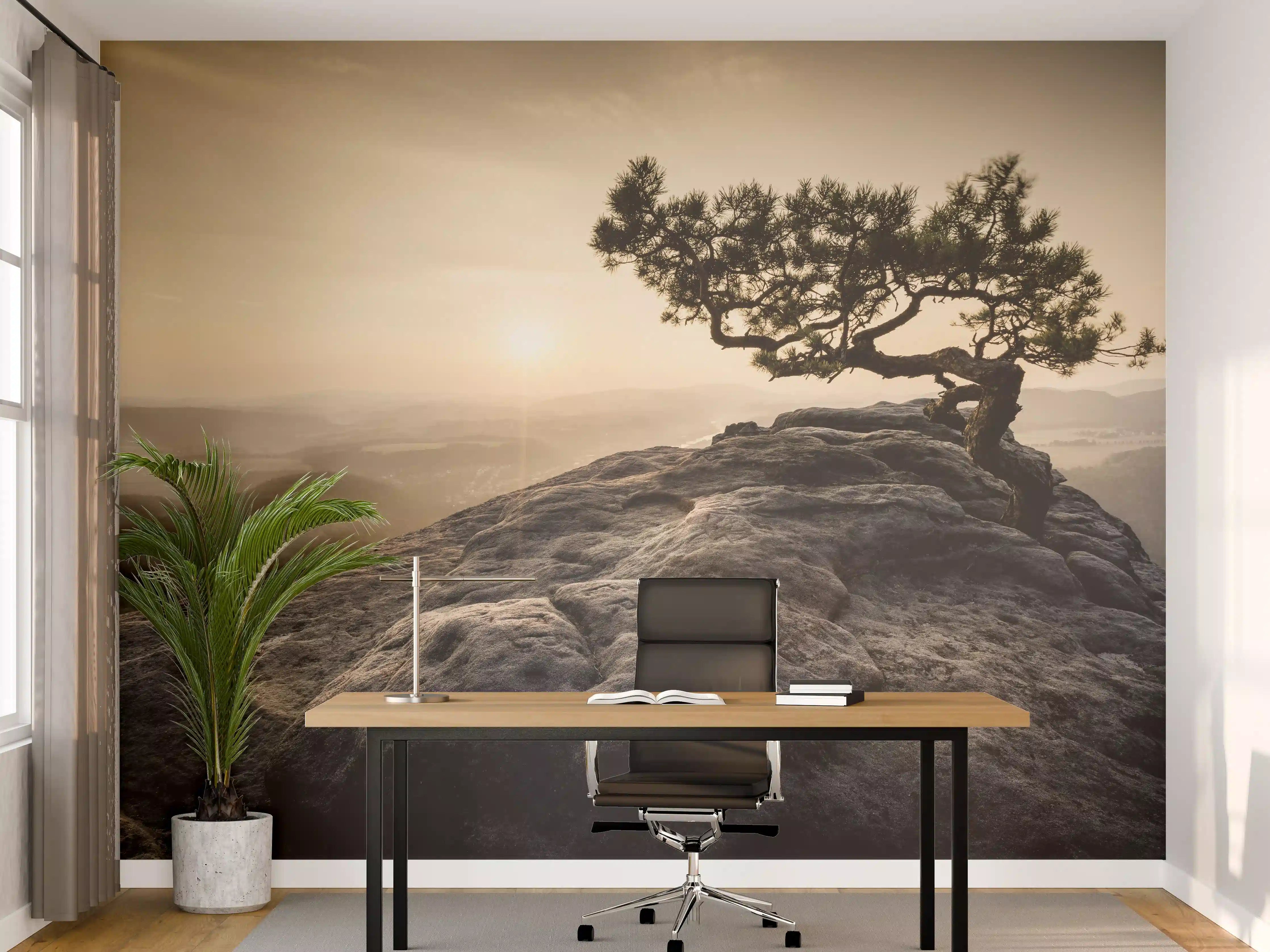 Büro Wandgestaltung - alte Kiefer zum Sonnenaufgang - Sächsische Schweiz