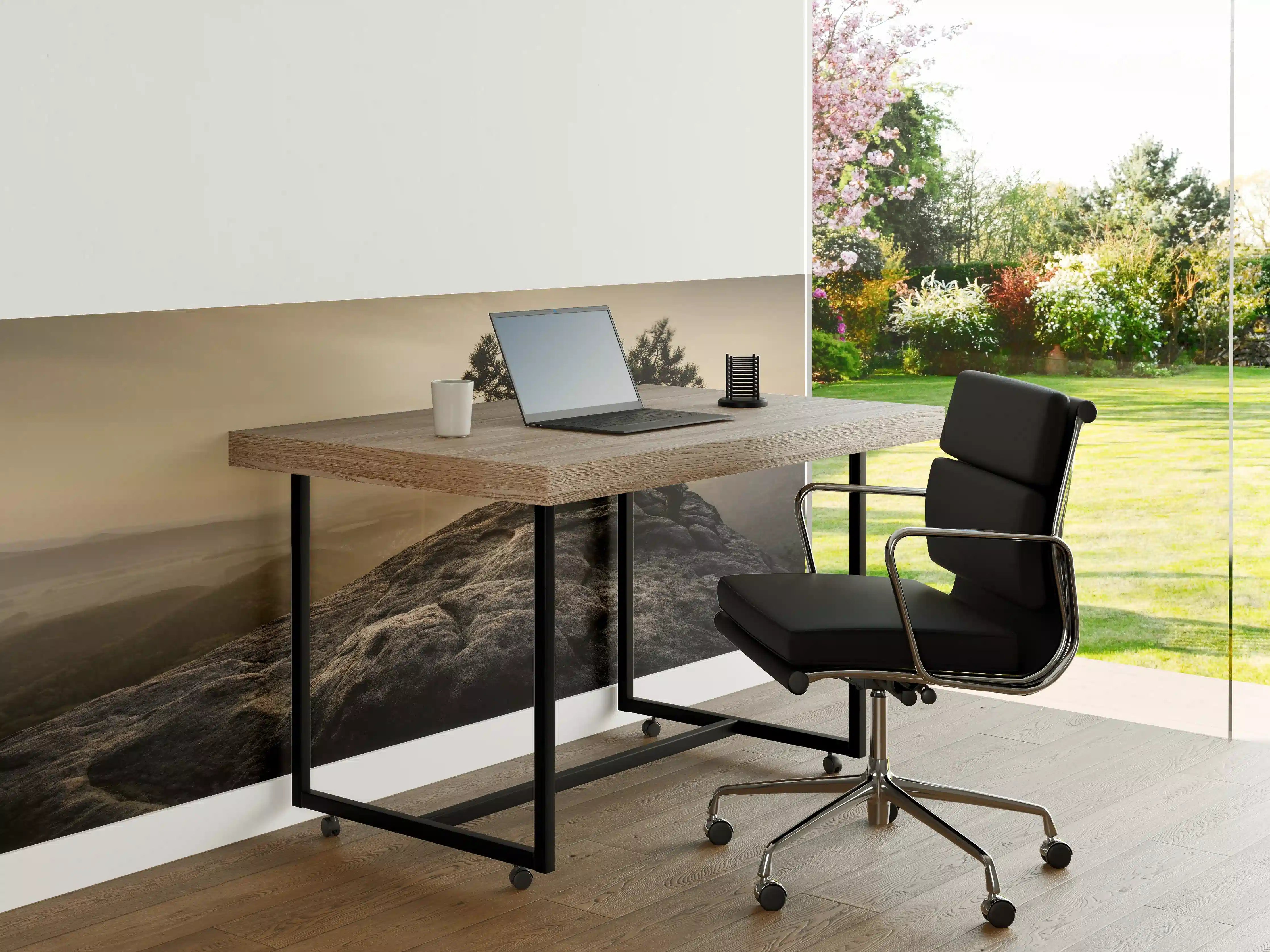Büro Wandgestaltung - alte Kiefer zum Sonnenaufgang - Sächsische Schweiz