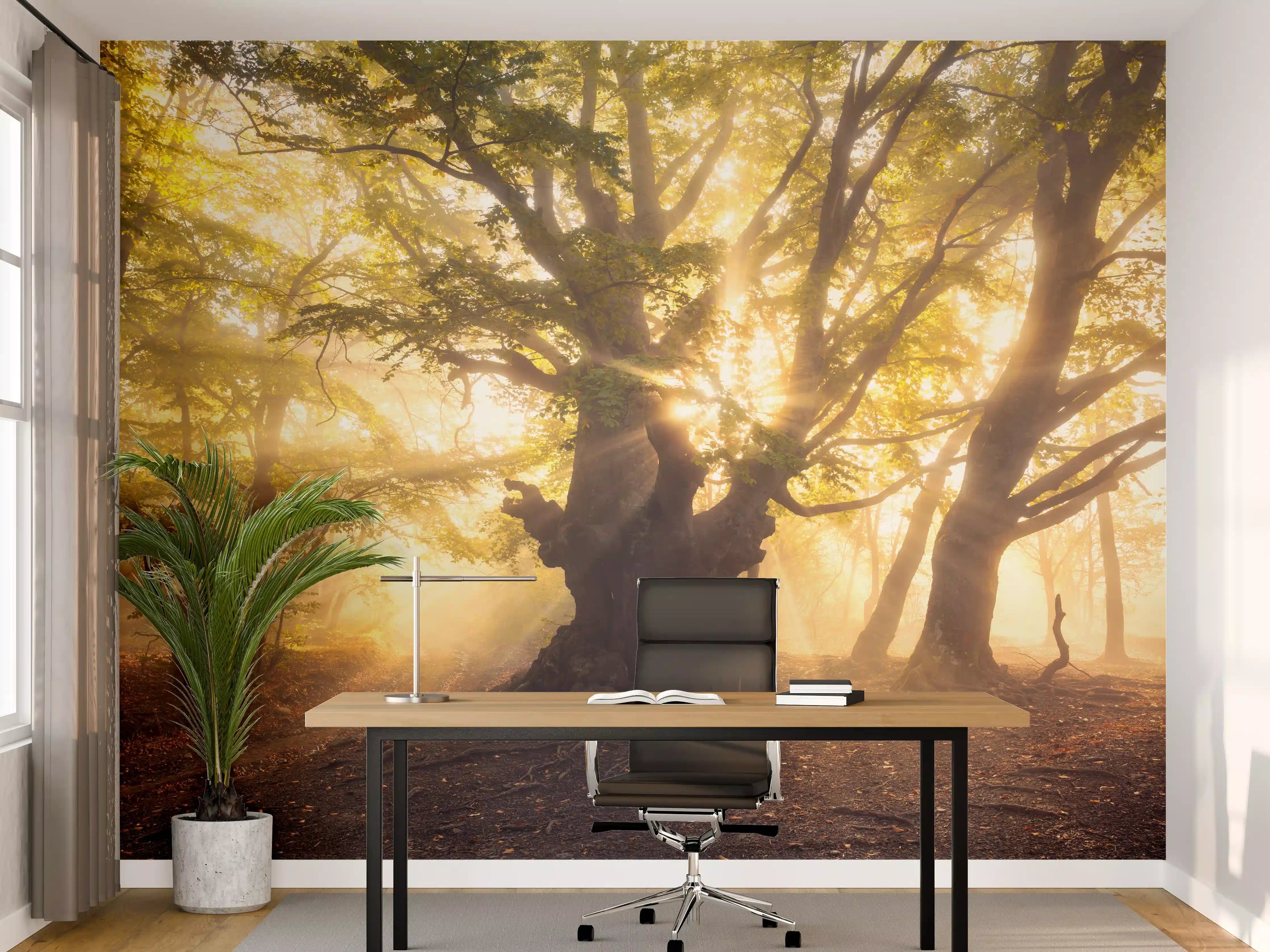 Büro Wandgestaltung - alter Baum bei Sonnenaufgang im Nebel