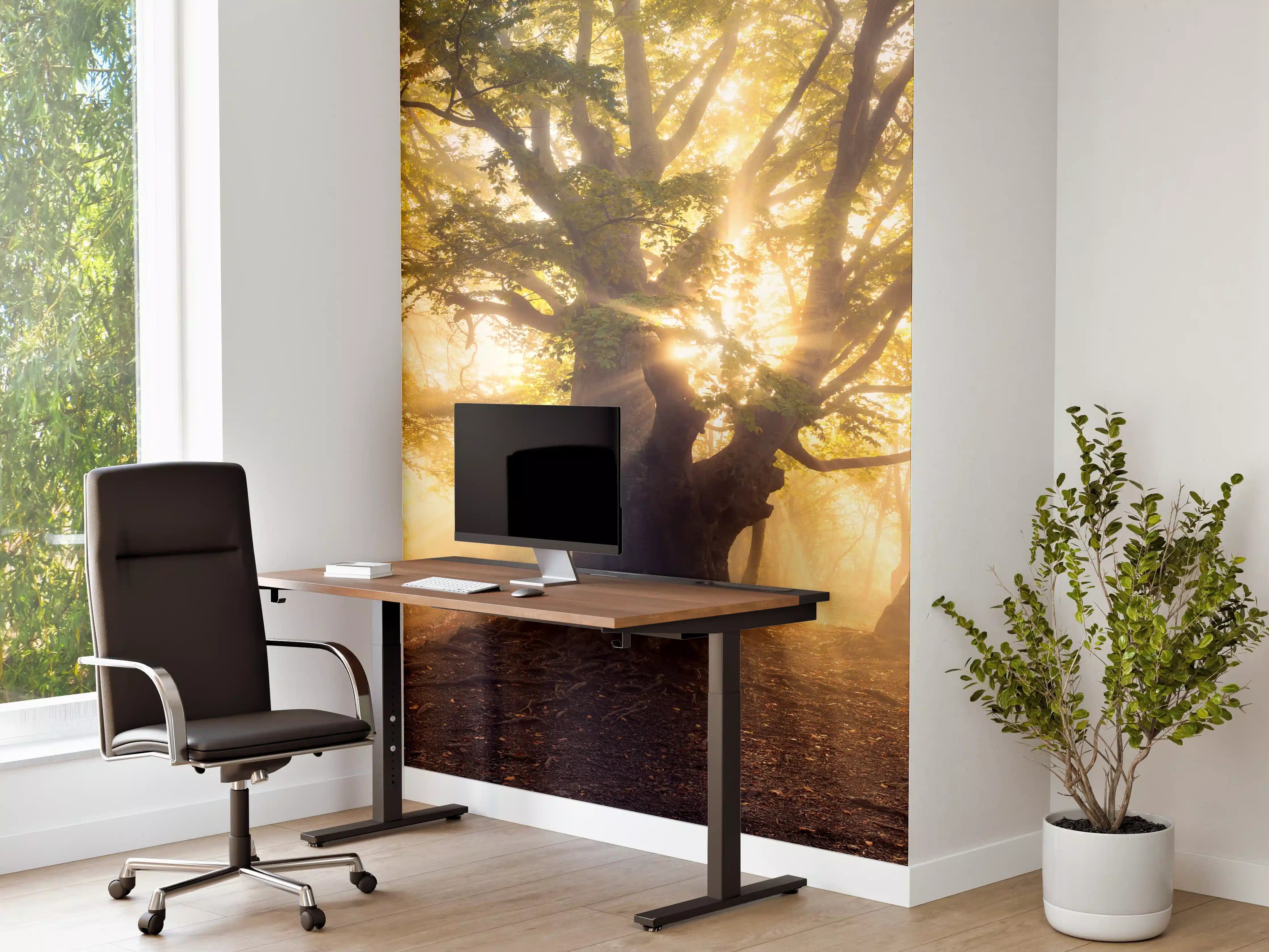Büro Wandgestaltung - alter Baum bei Sonnenaufgang im Nebel