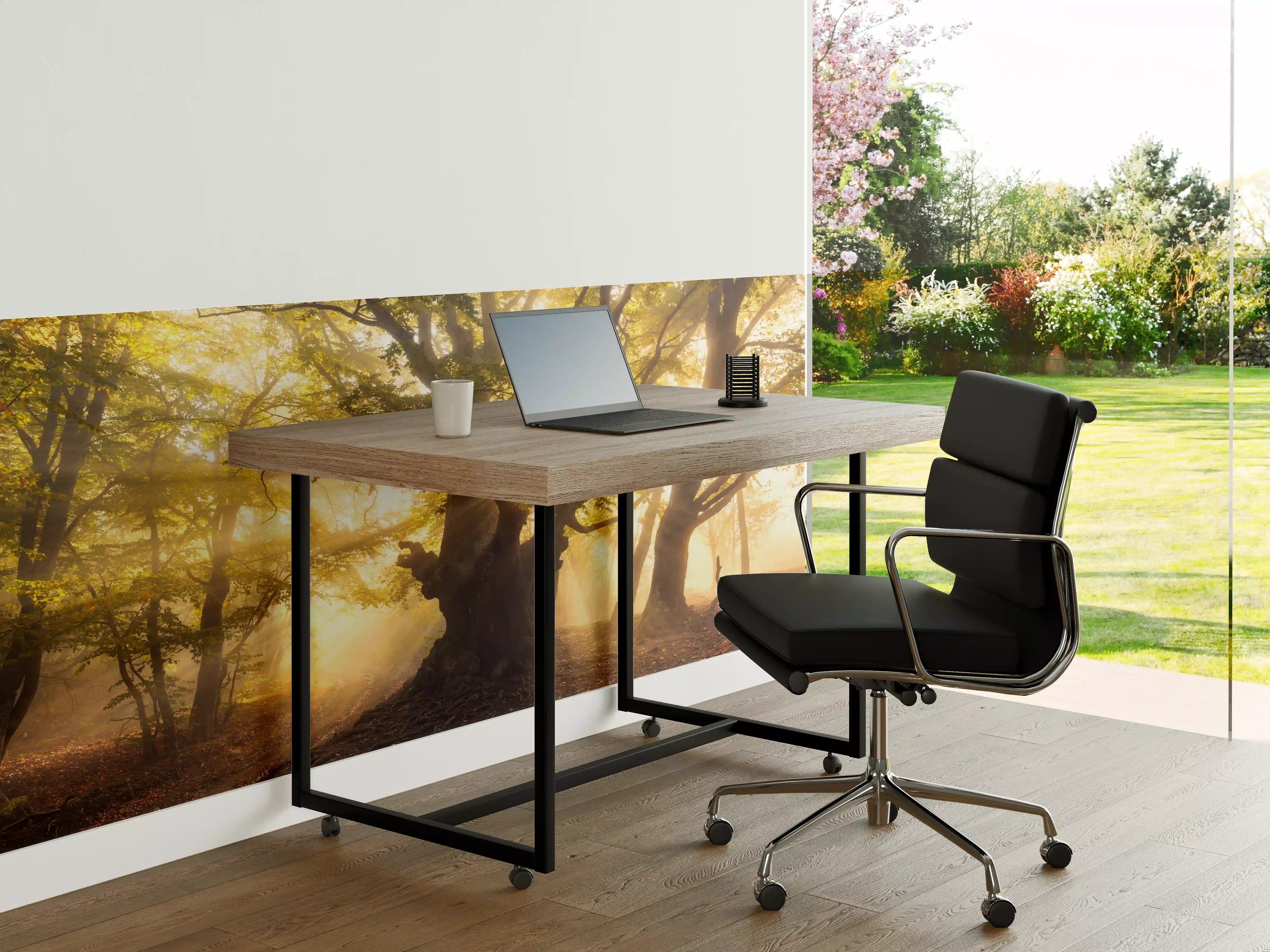 Büro Wandgestaltung - alter Baum bei Sonnenaufgang im Nebel