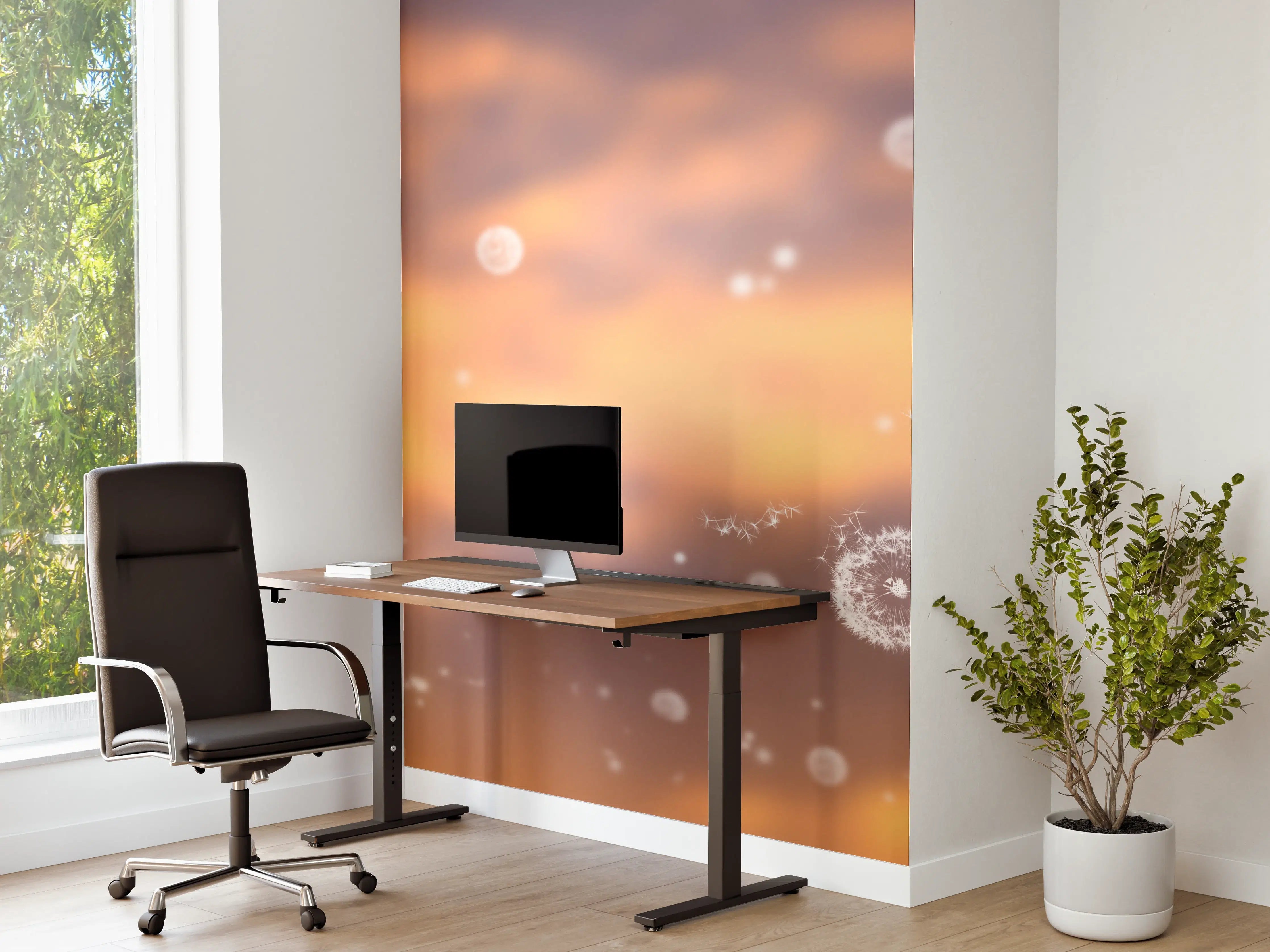 Büro Wandgestaltung - blütenstaub von pusteblumen in der abendsonne