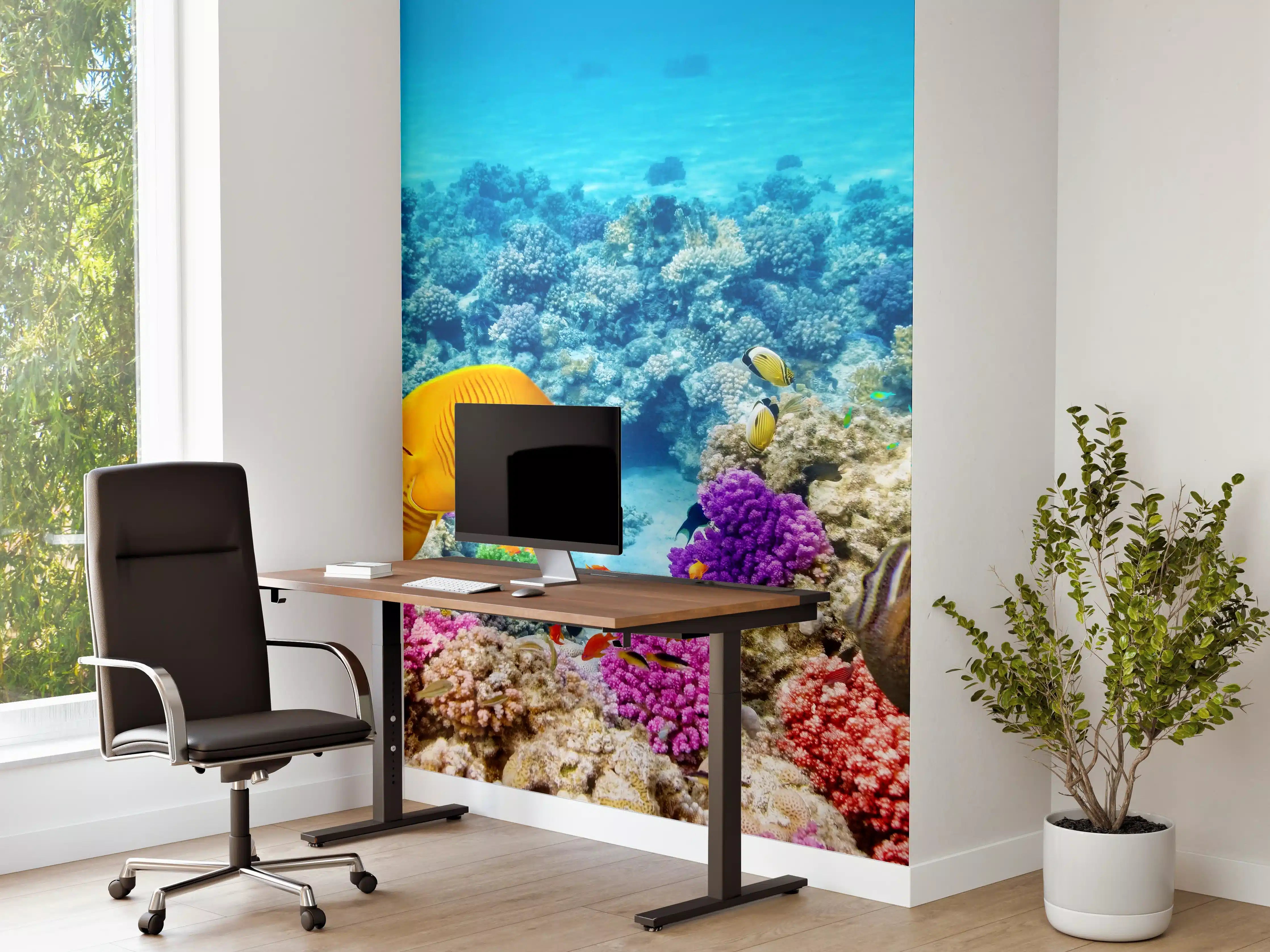 Büro Wandgestaltung - bunte Unterwasserwelt in Australien