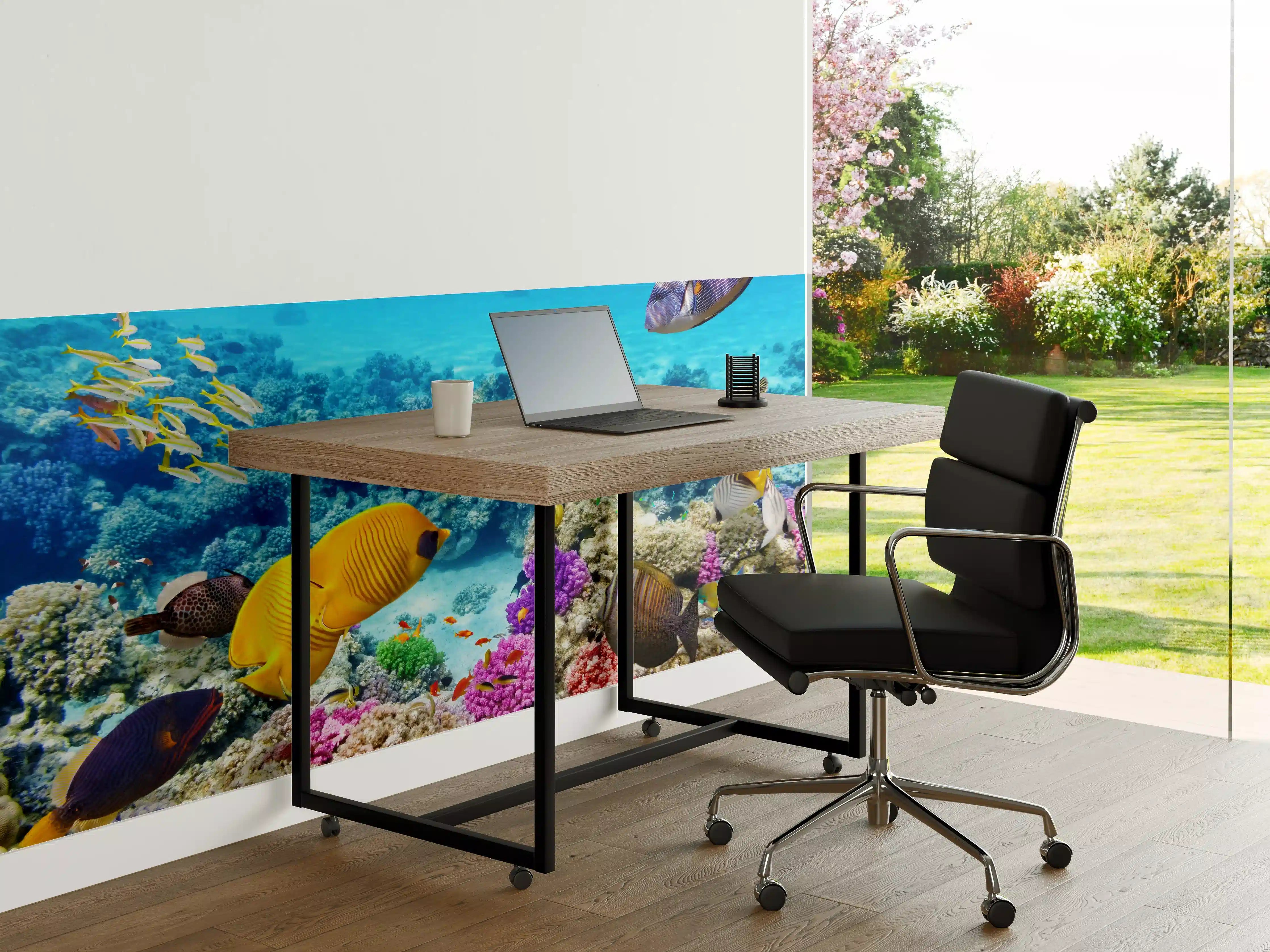 Büro Wandgestaltung - bunte Unterwasserwelt in Australien