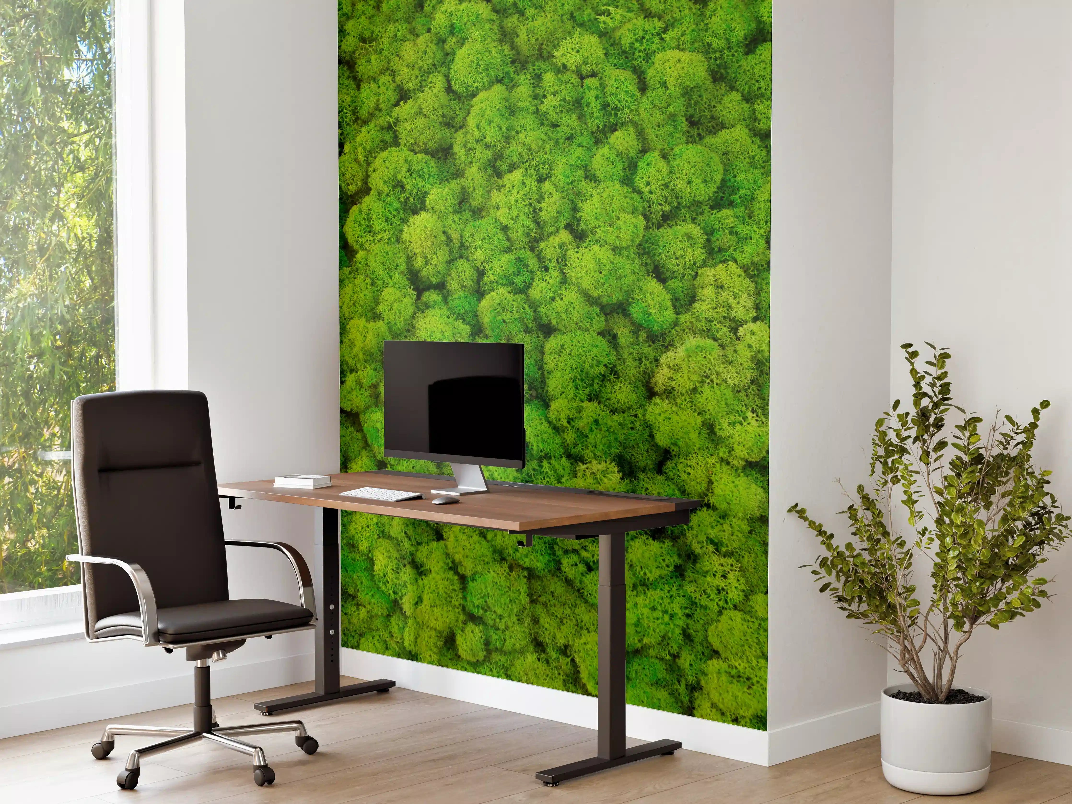 Büro Wandgestaltung - dekoratives Moos Design