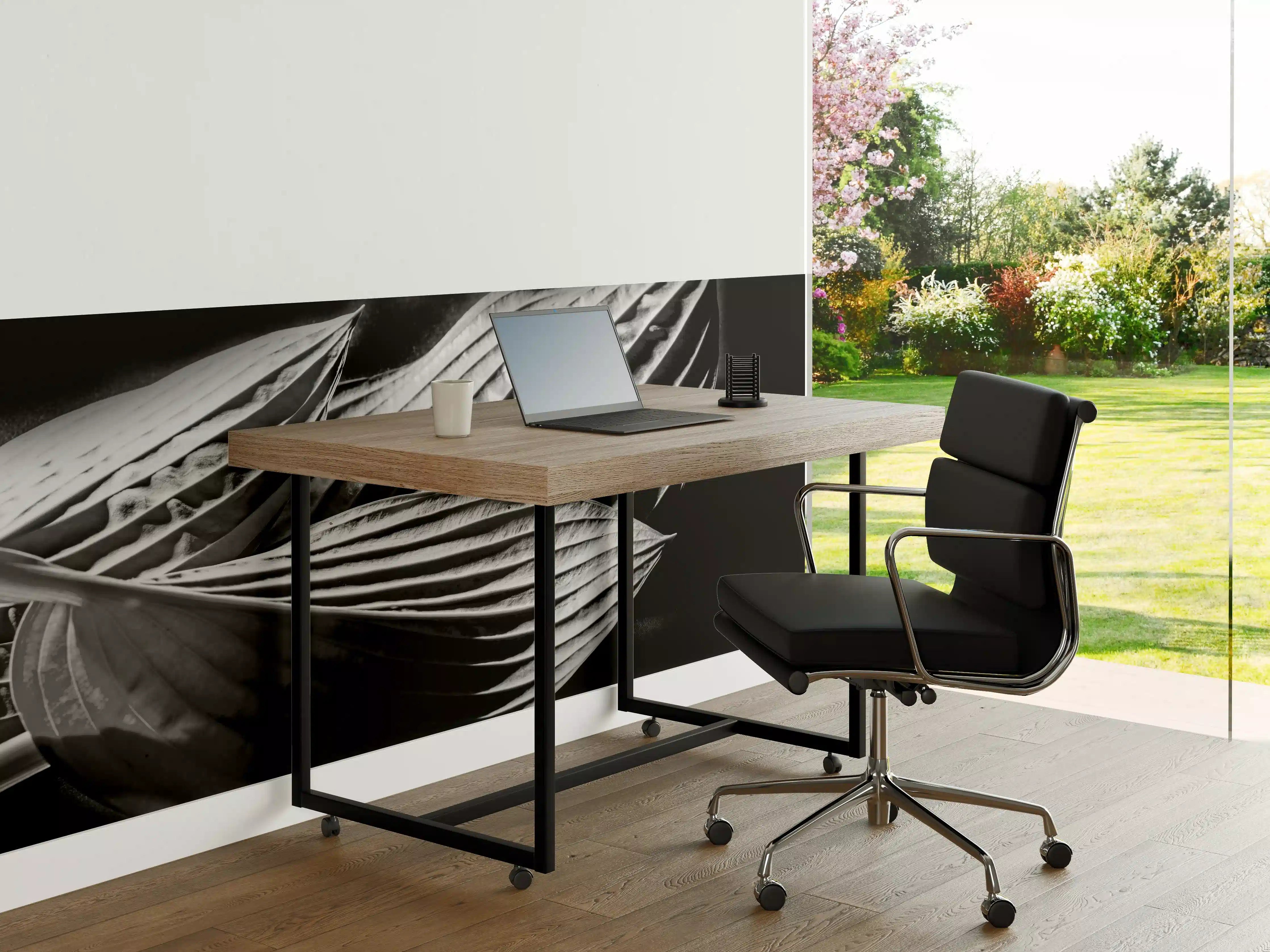 Büro Wandgestaltung - drei Blätter auf dunklem Hintergrund