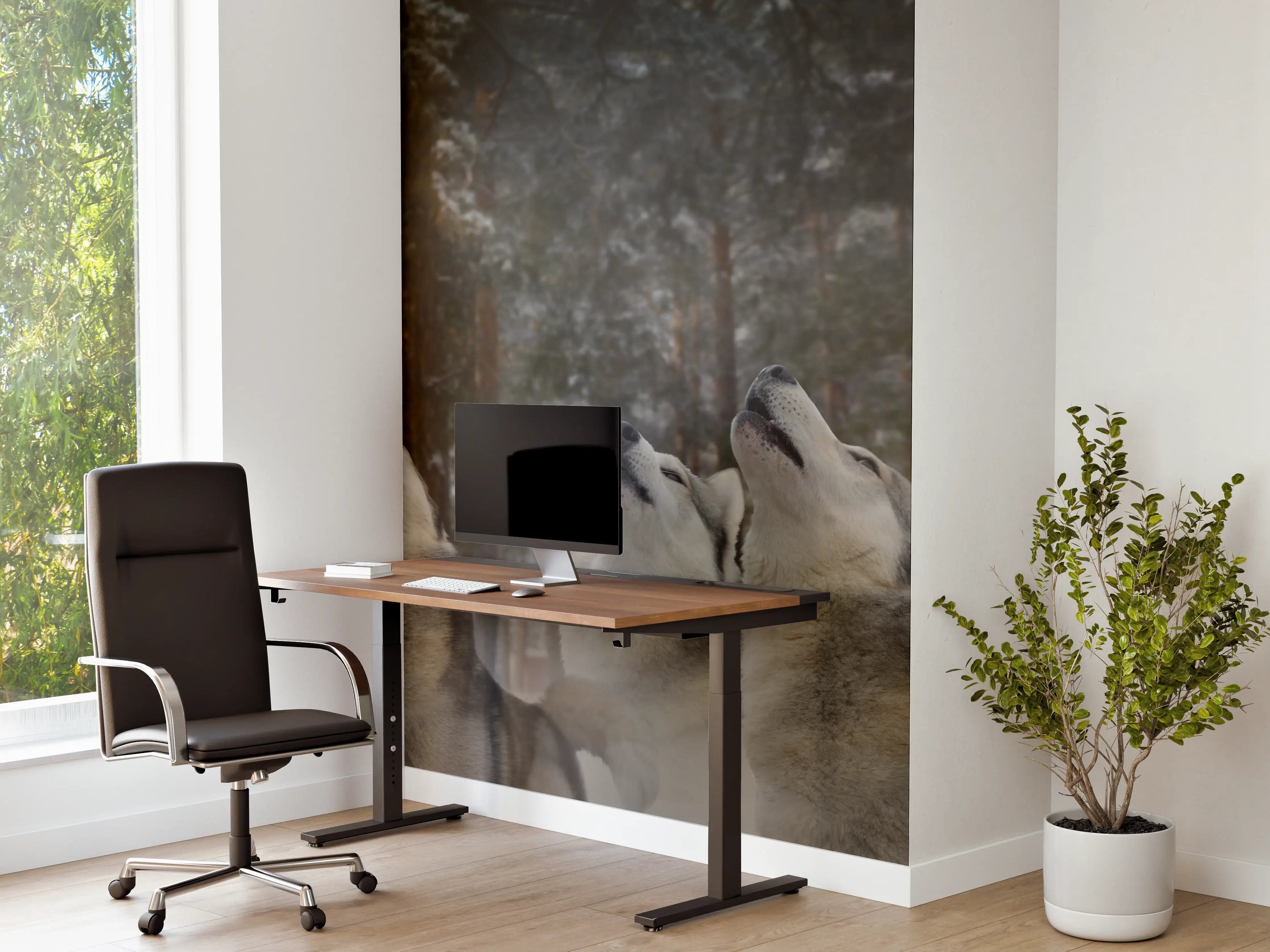 Büro Wandgestaltung - drei heulende Wölfe