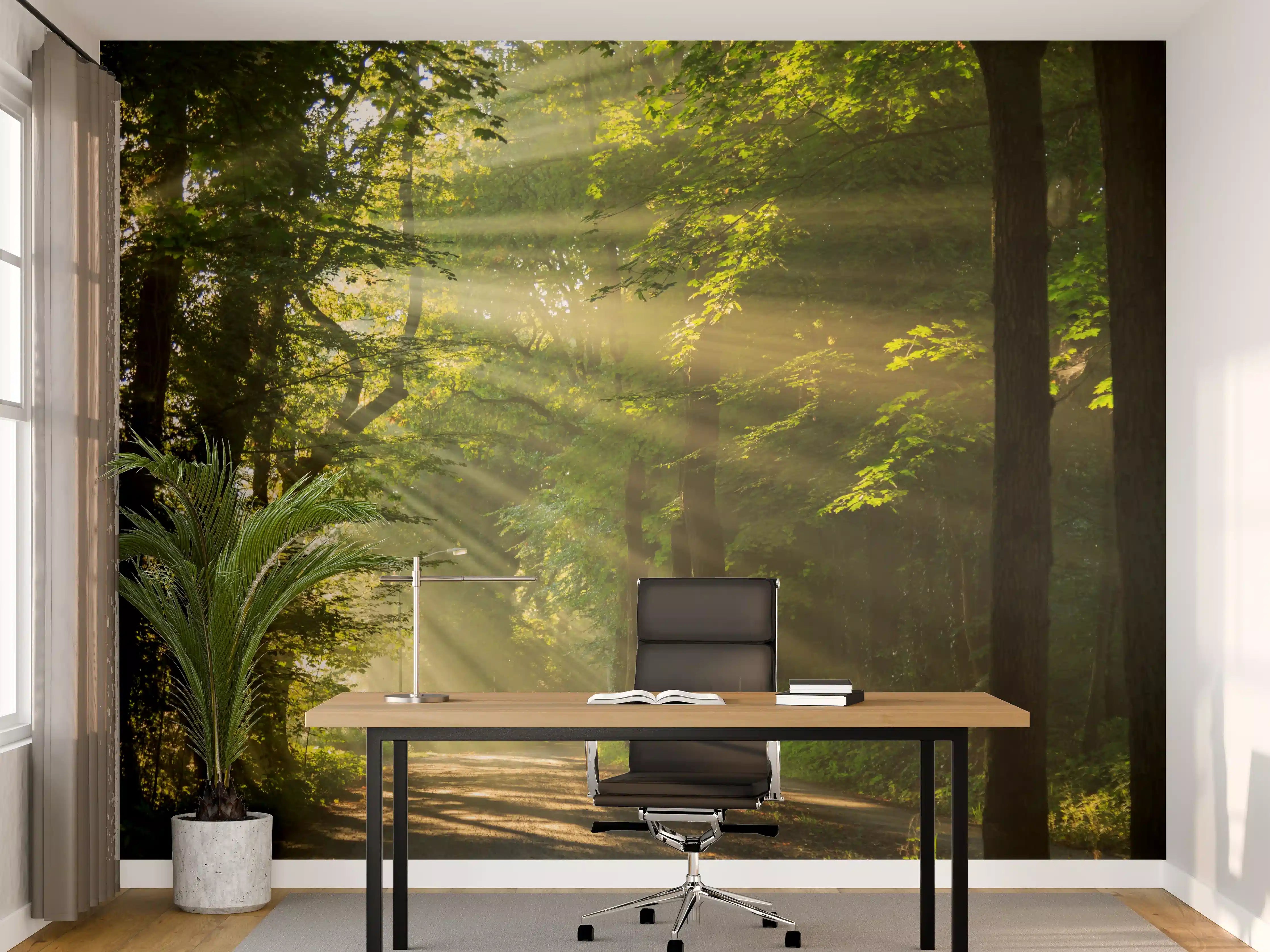 Büro Wandgestaltung - erleuchtende Sonnenstrahlen in den Wald 
