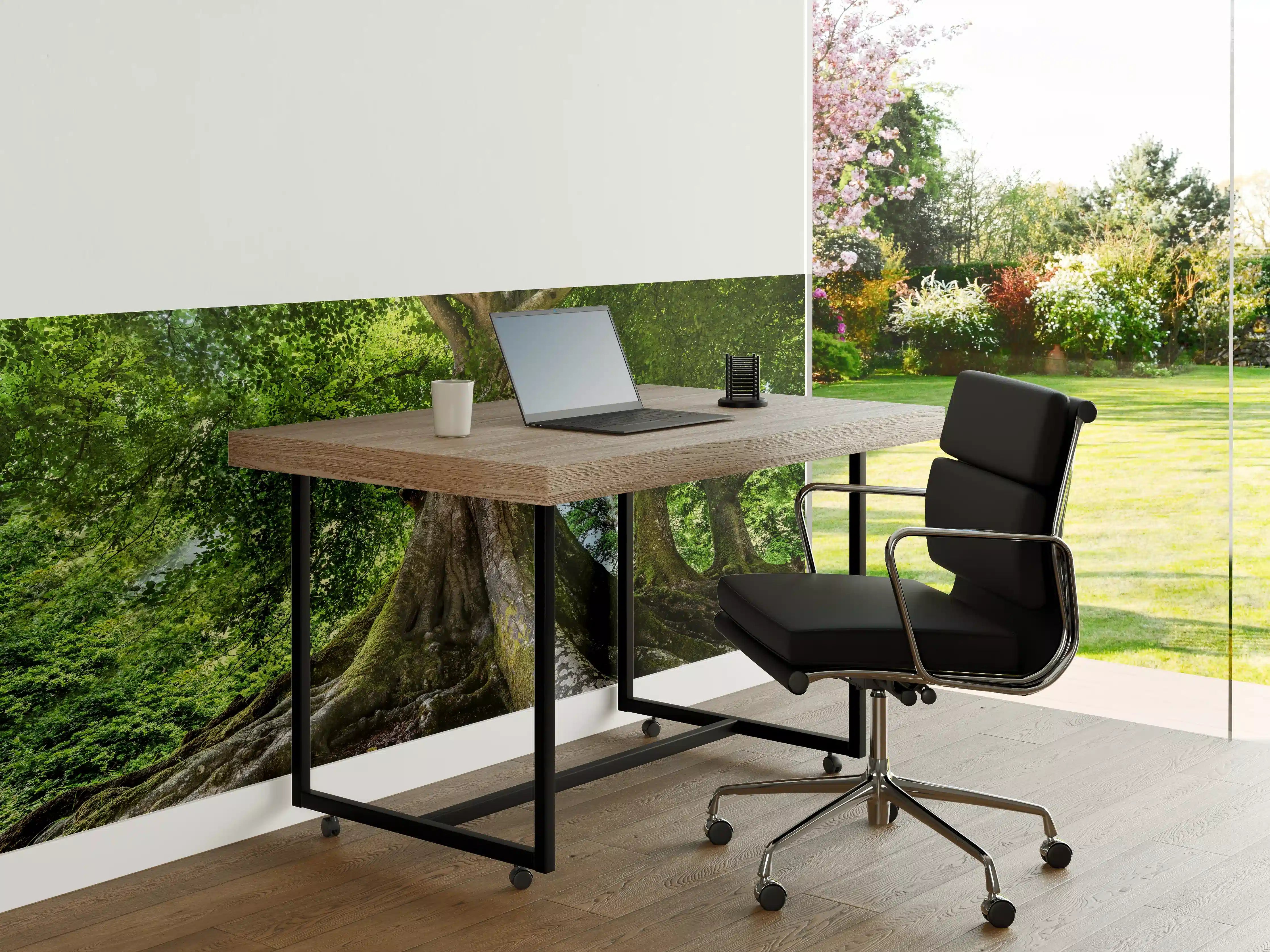 Büro Wandgestaltung - großer alter Baum in Froschperspektive