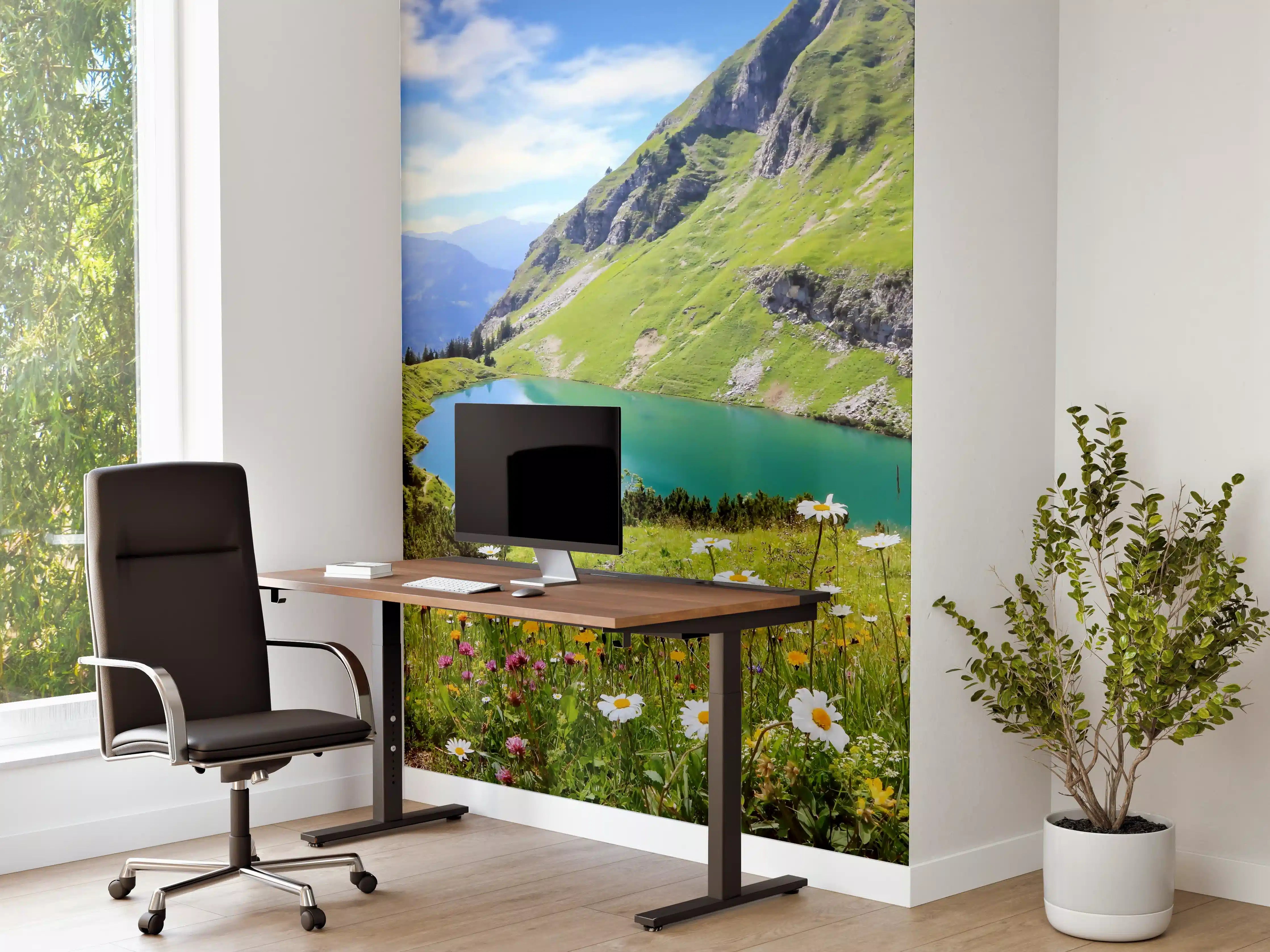 Büro Wandgestaltung - idyllischer Seealpsee