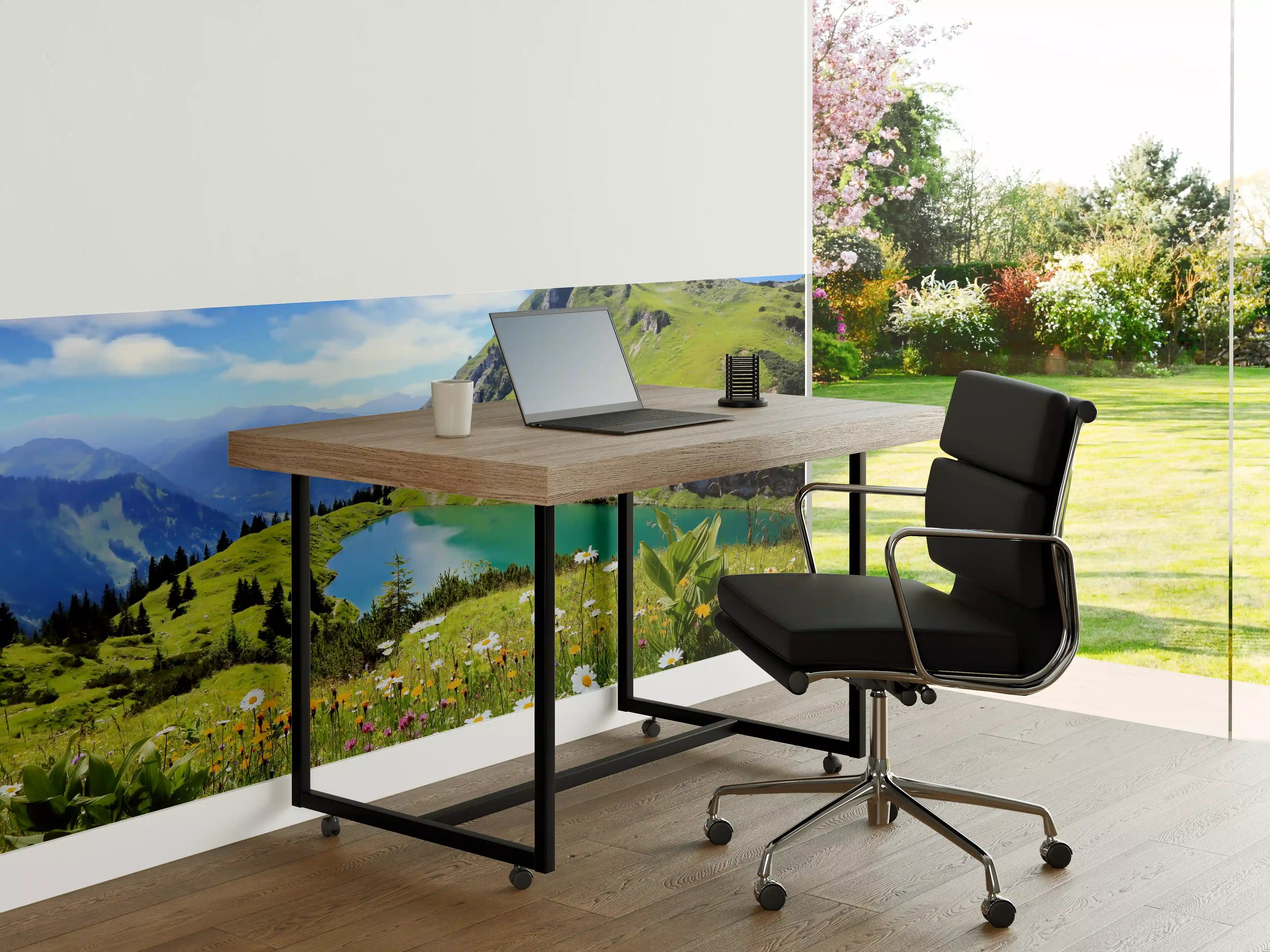 Büro Wandgestaltung - idyllischer Seealpsee