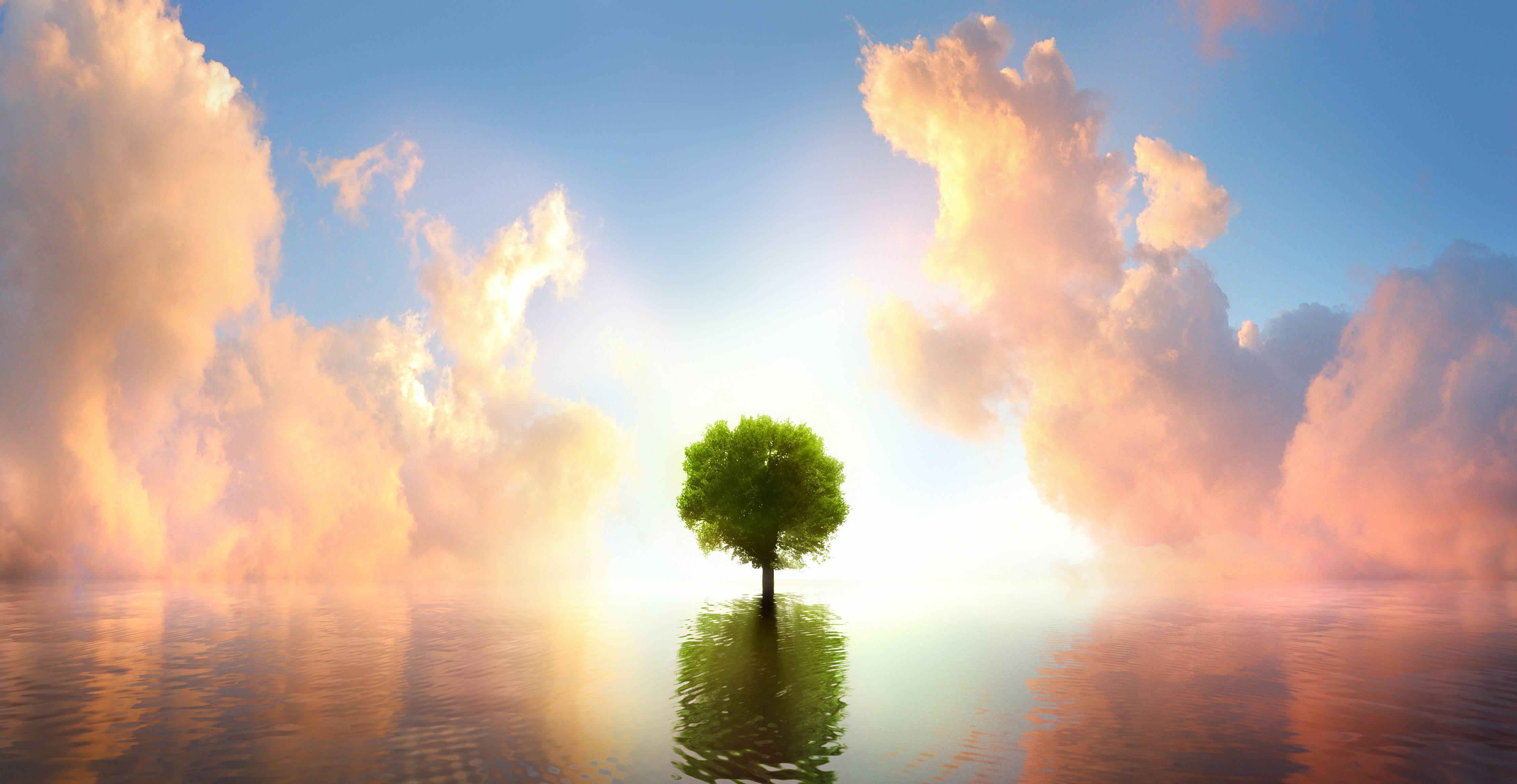 Büro Wandgestaltung-kraftvoller Baum mitten im See