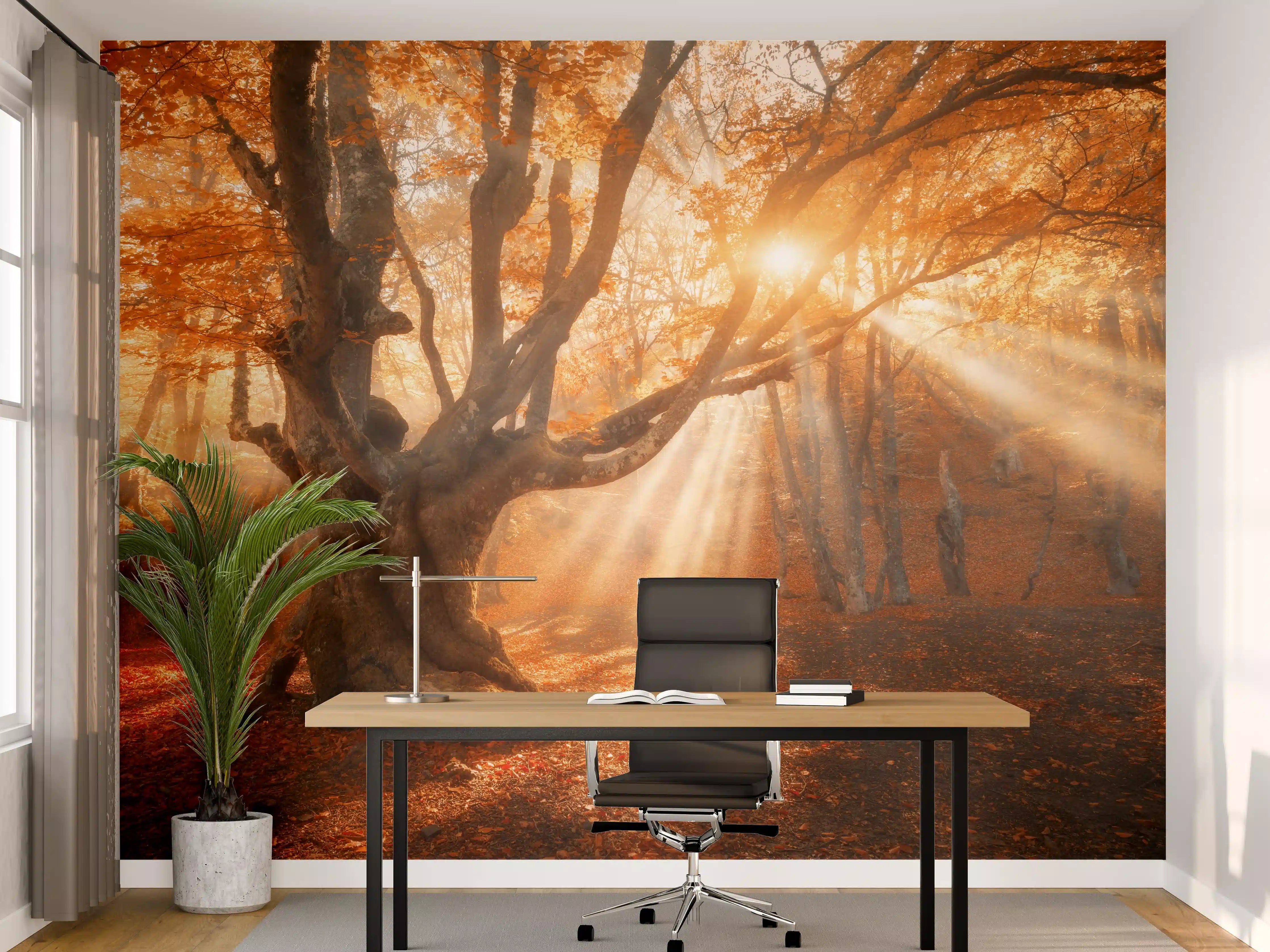 Büro Wandgestaltung - magischer alter Baum im Herbst