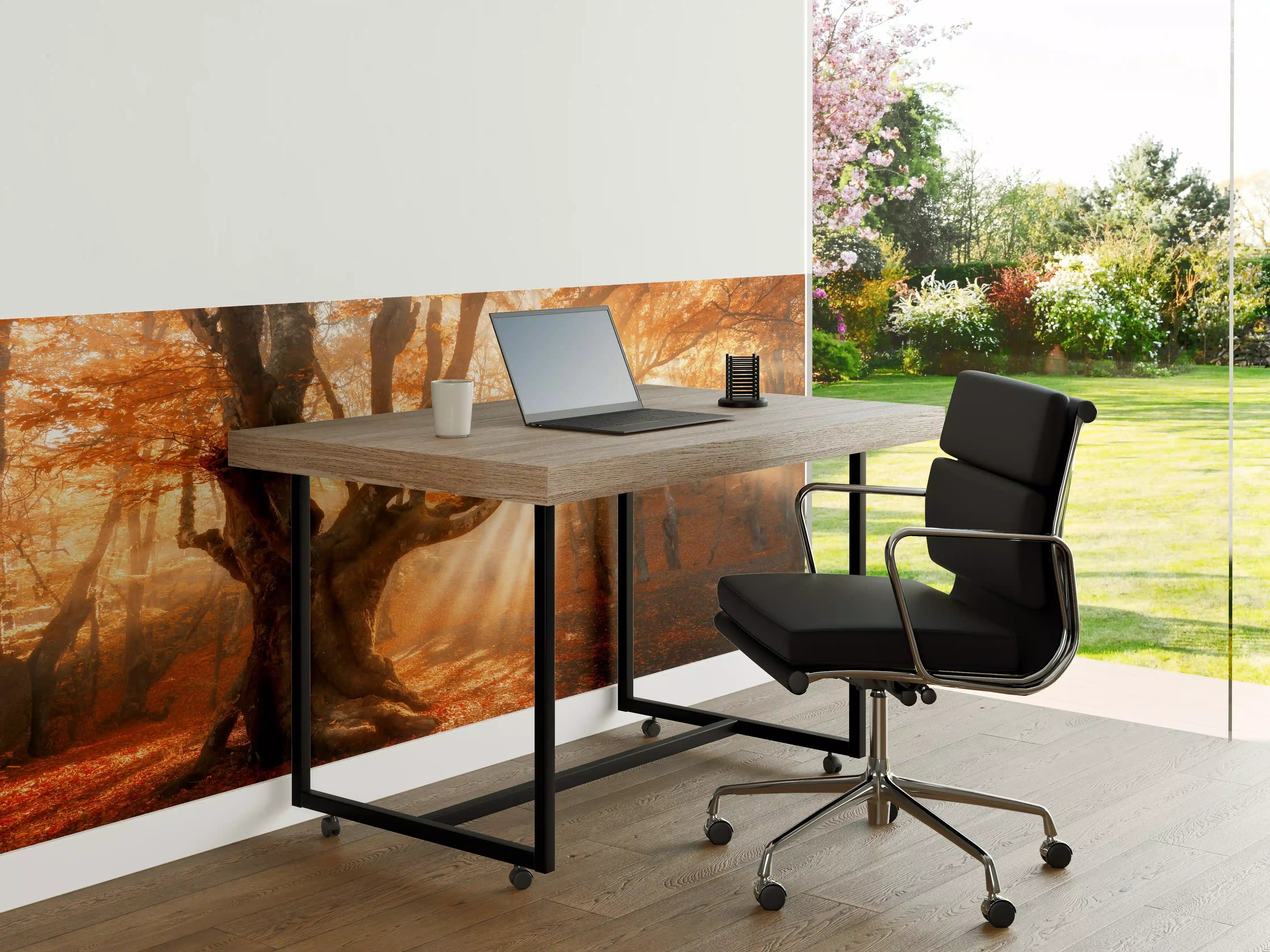 Büro Wandgestaltung - magischer alter Baum im Herbst
