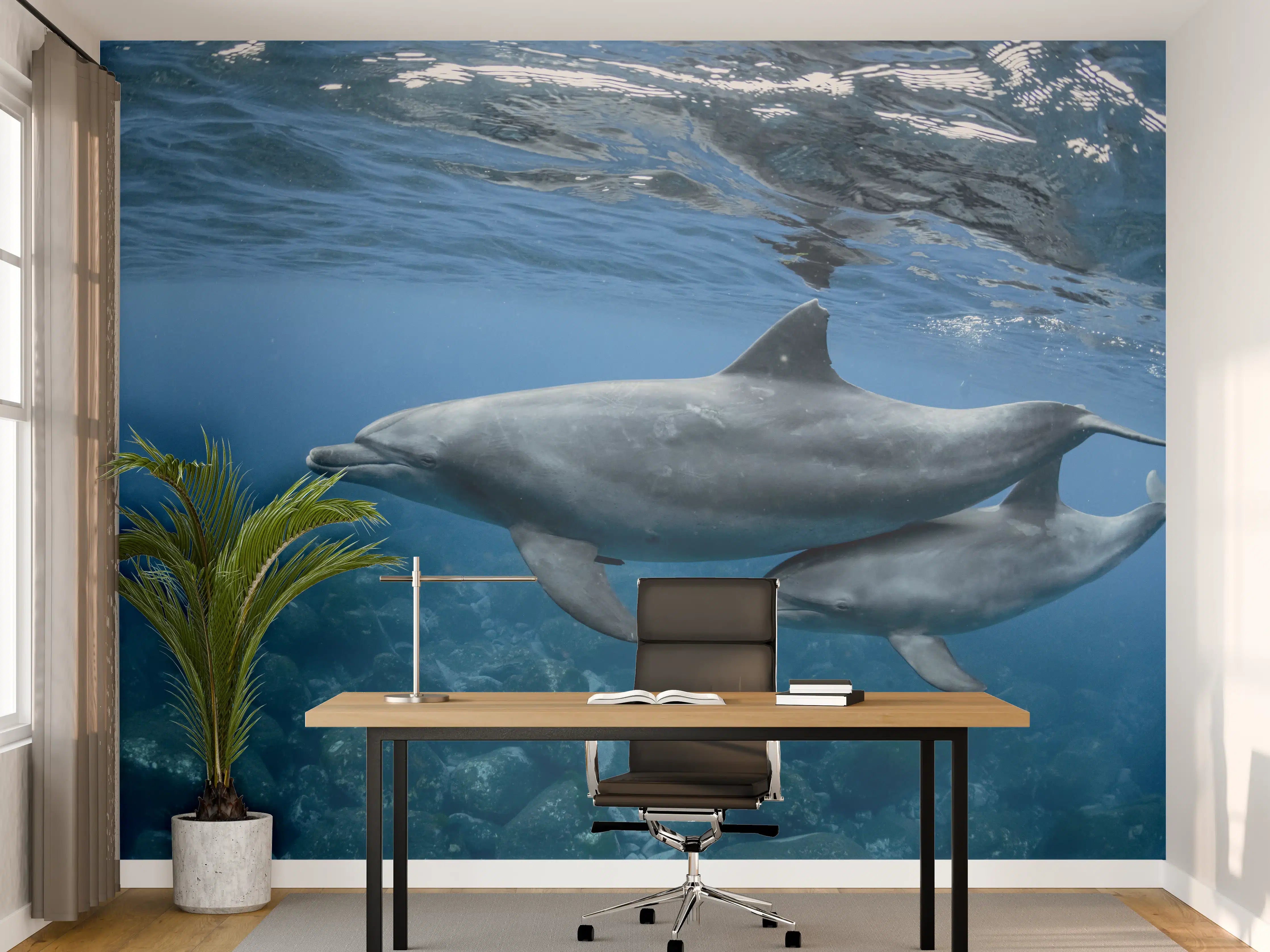 Büro Wandgestaltung - niedliche Delfin-Familie