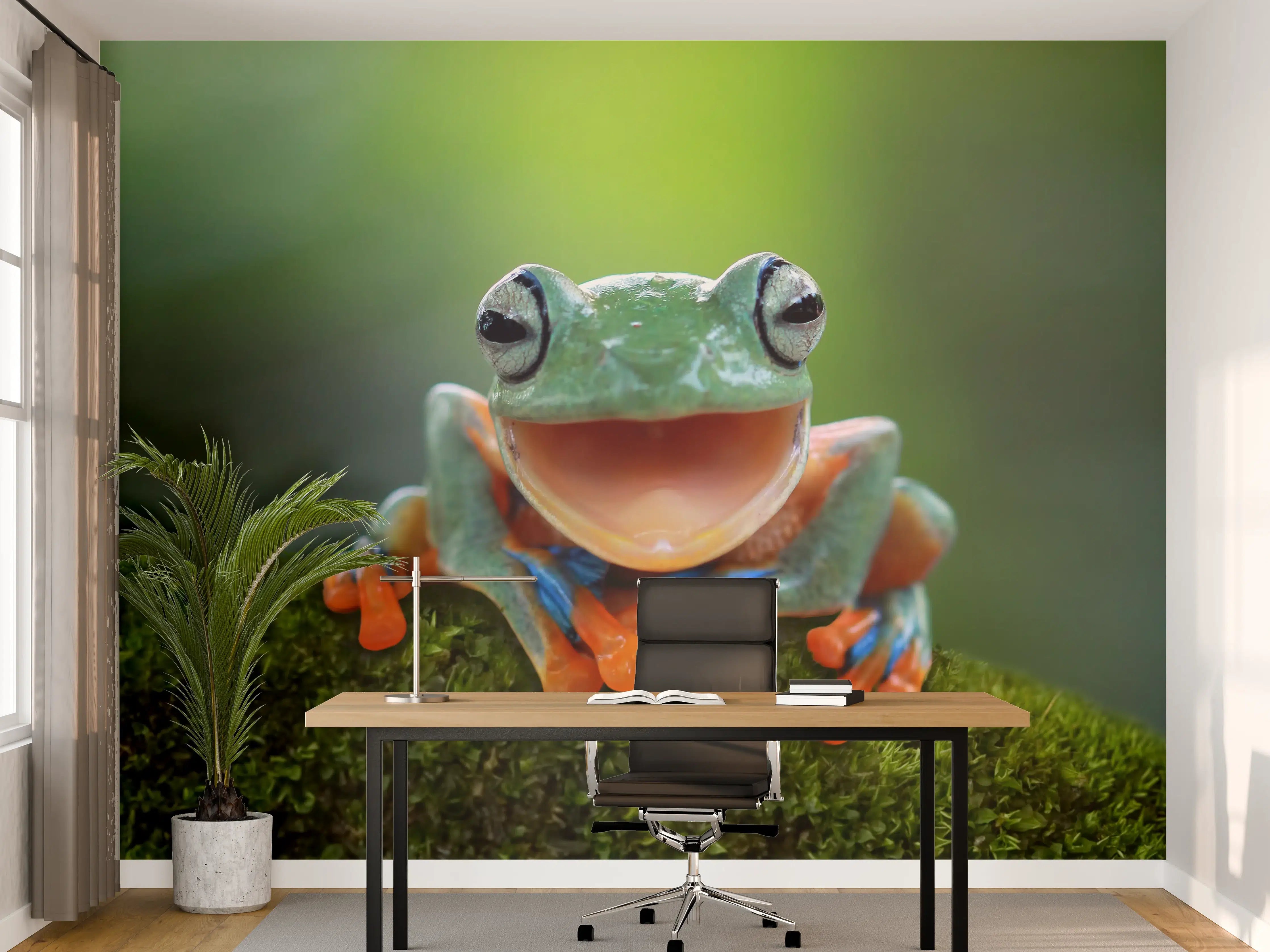 Büro Wandgestaltung - niedlicher Laubfrosch in Nahaufnahme