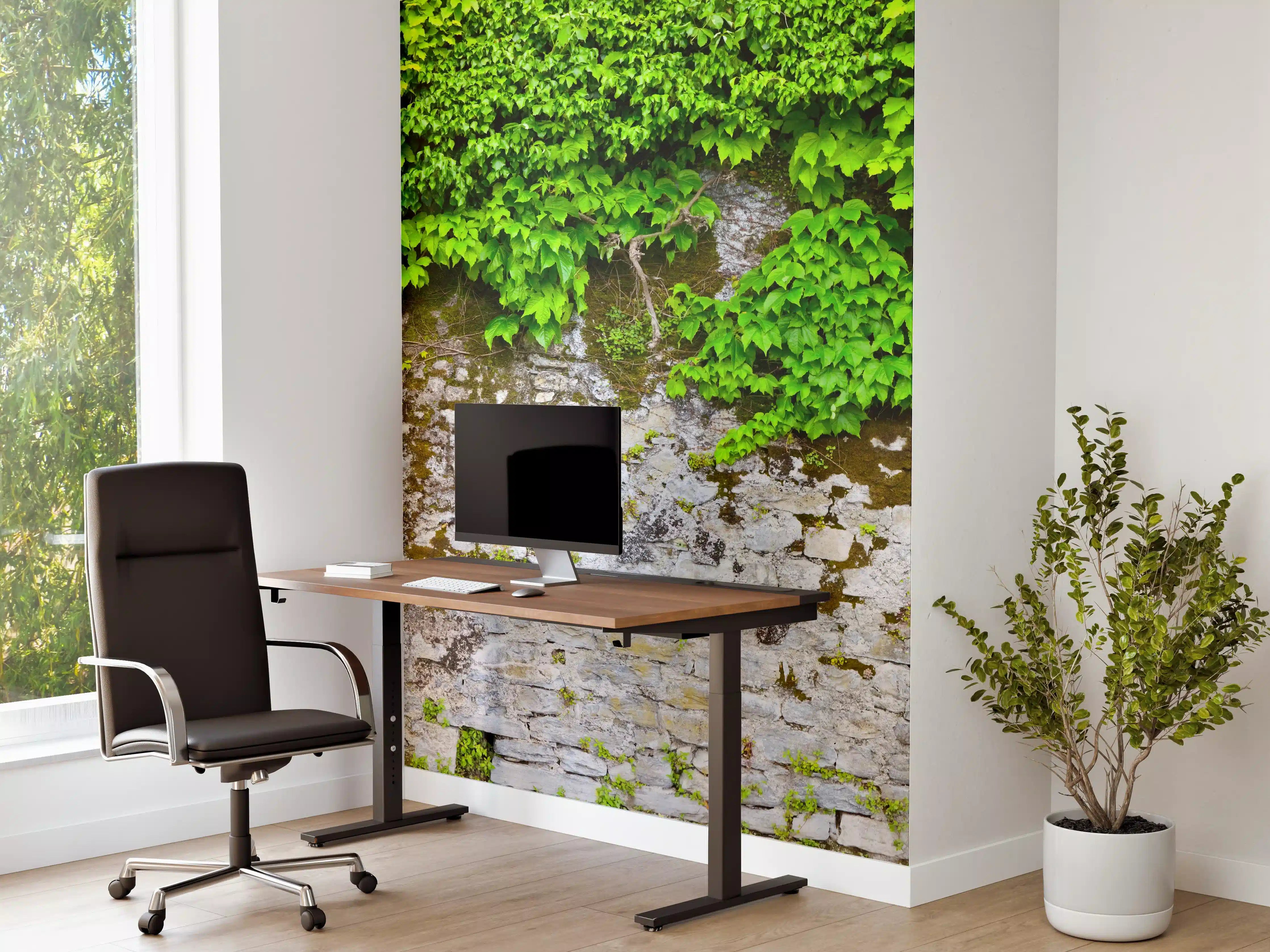 Büro Wandgestaltung - überwucherte Burgmauer