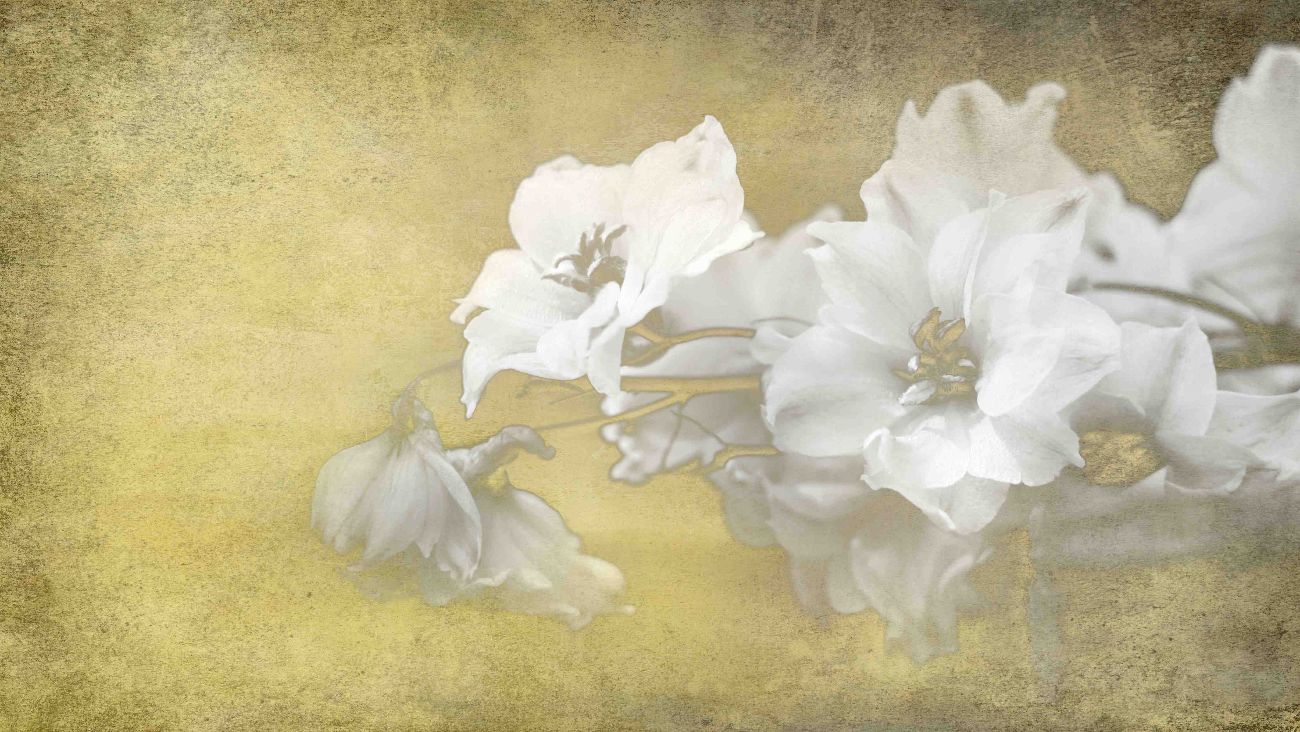Büro Wandgestaltung-weiße Blumen auf goldenem Hintergrund