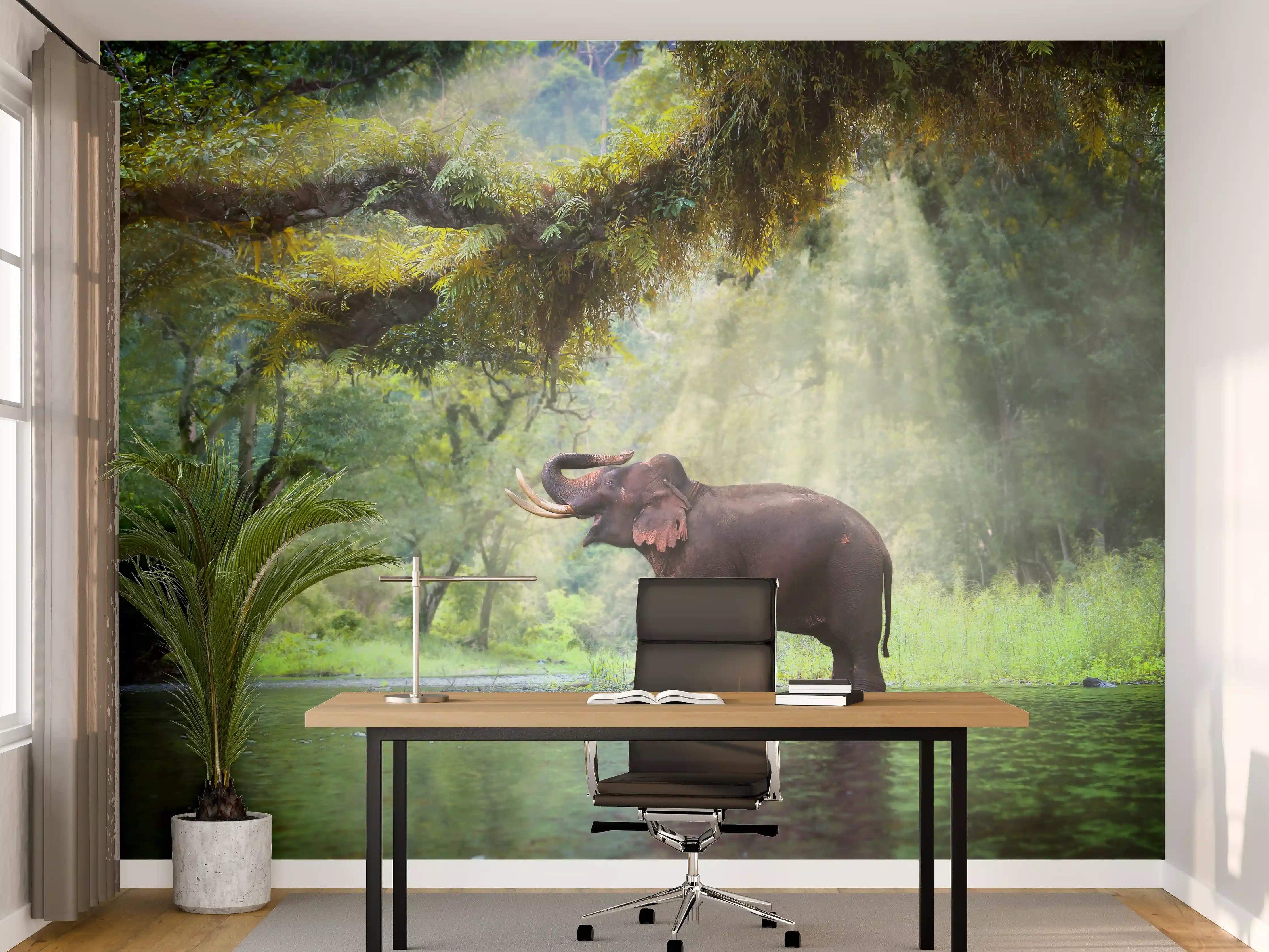 Büro Wandgestaltung - wilde Elefanten im Wald von Kanchanaburi 