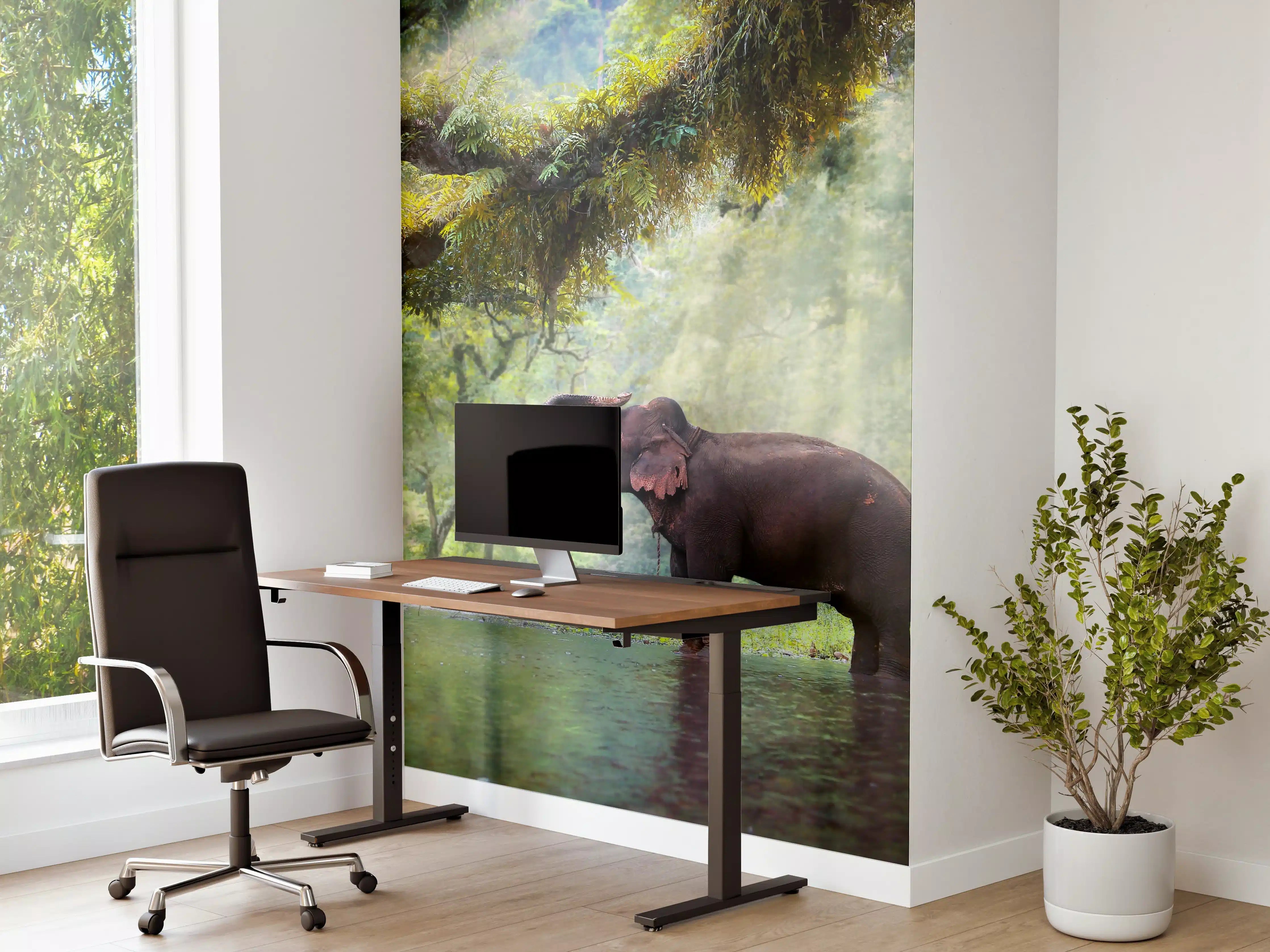 Büro Wandgestaltung - wilde Elefanten im Wald von Kanchanaburi 