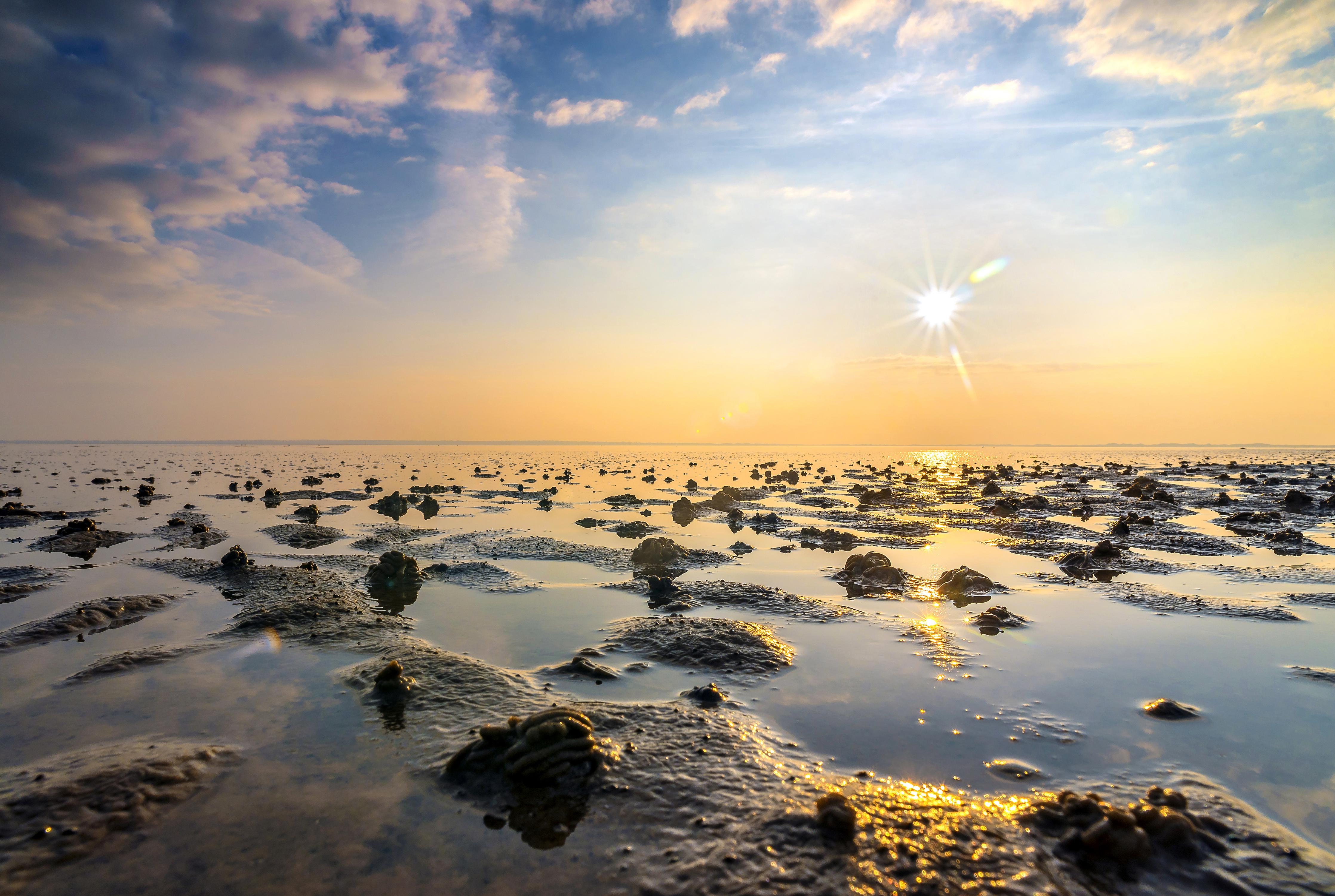 Duschrückwand- endlose Küste der Nordsee 