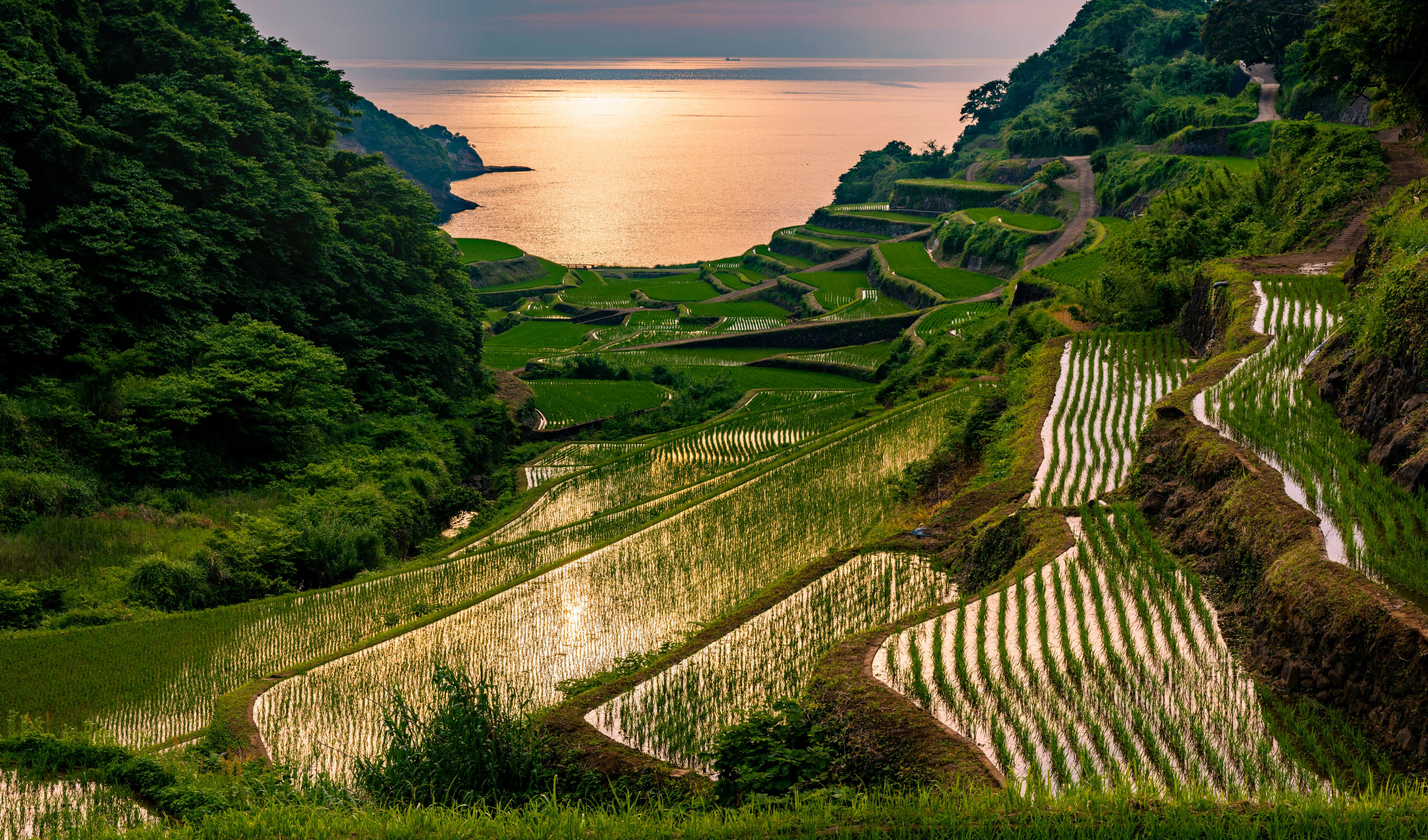 Duschrückwand-Abendlicher Blick japanische Berglandschaft