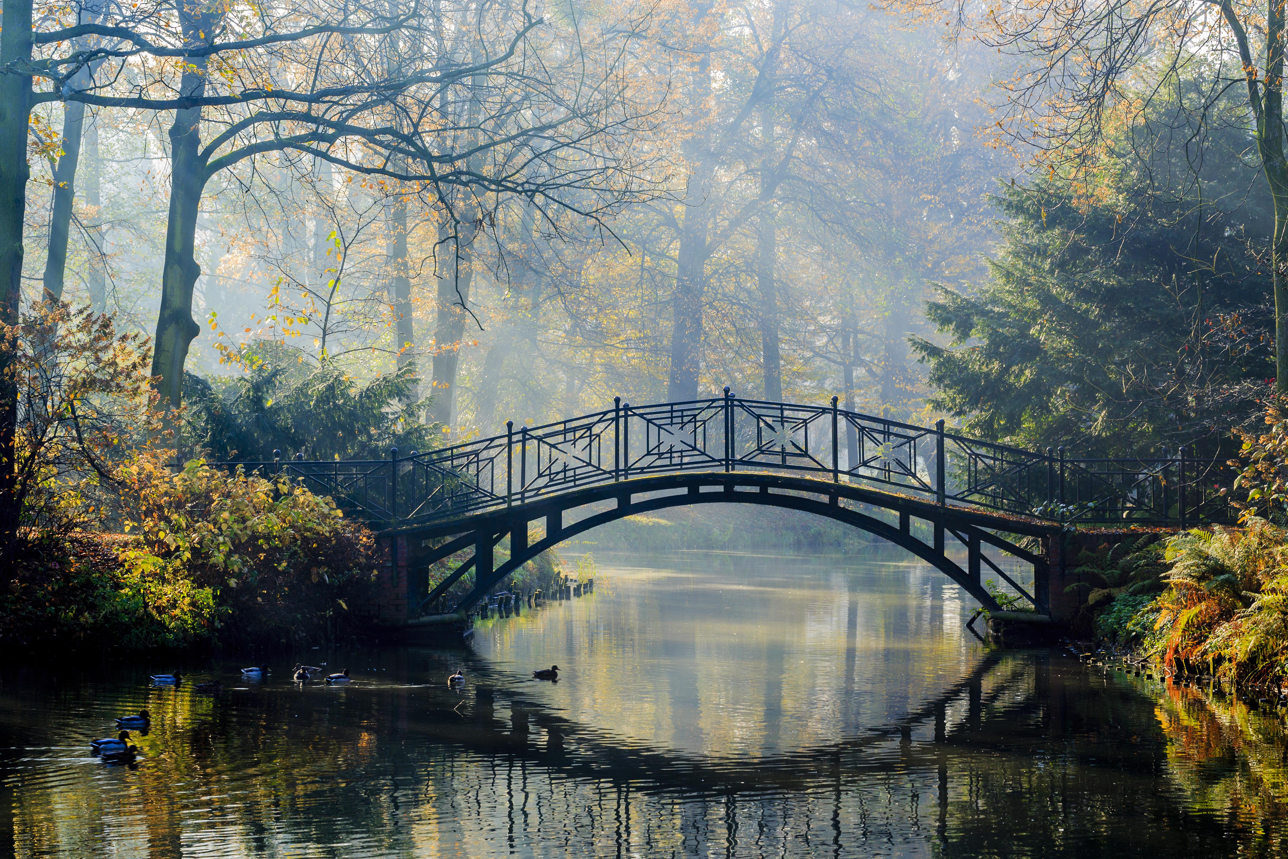 Duschrückwand-Alte Brücke im herbstlich nebligen Park