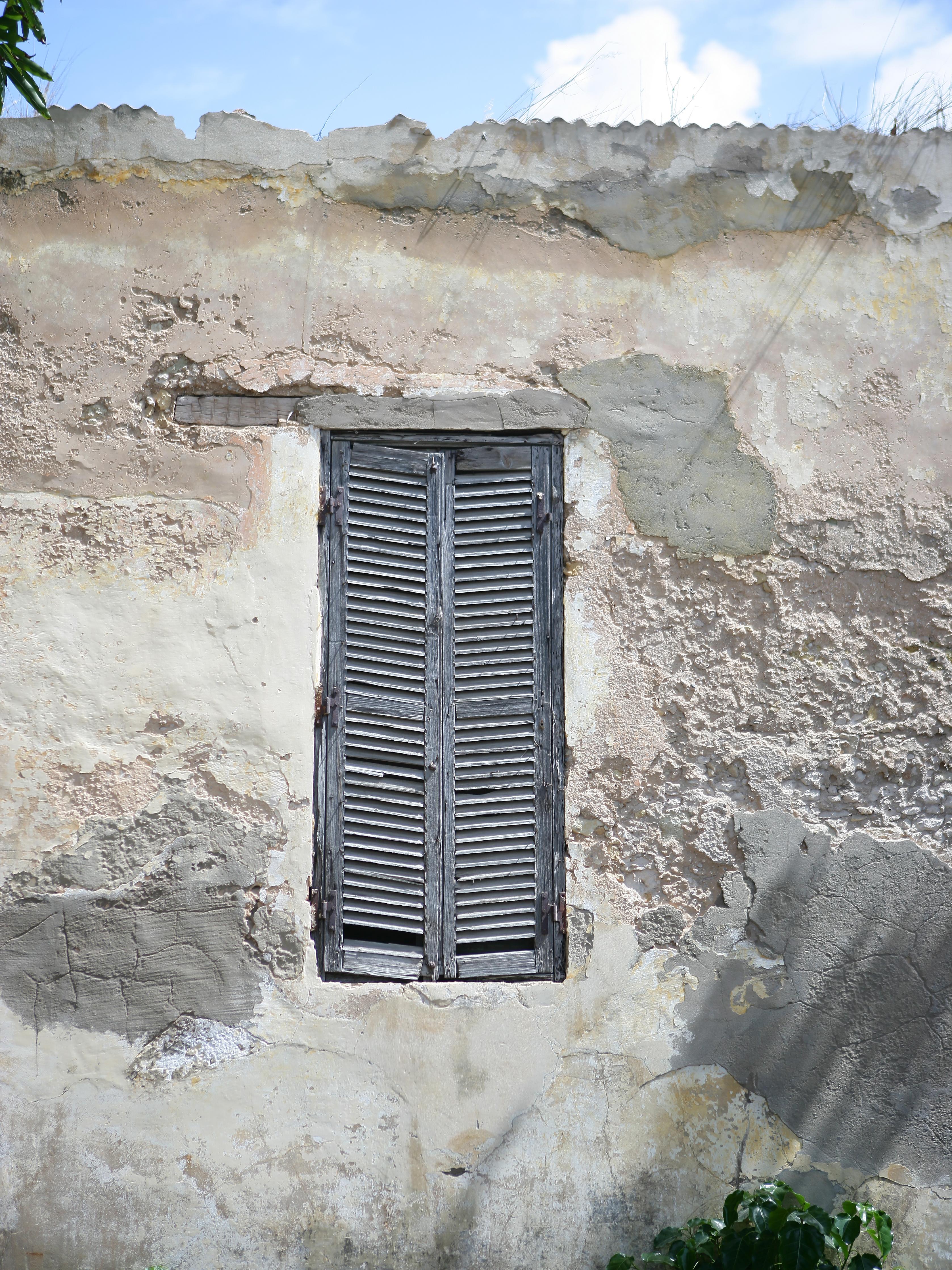 Duschrückwand-Altes Wüstenhaus mit Kakteenschatten