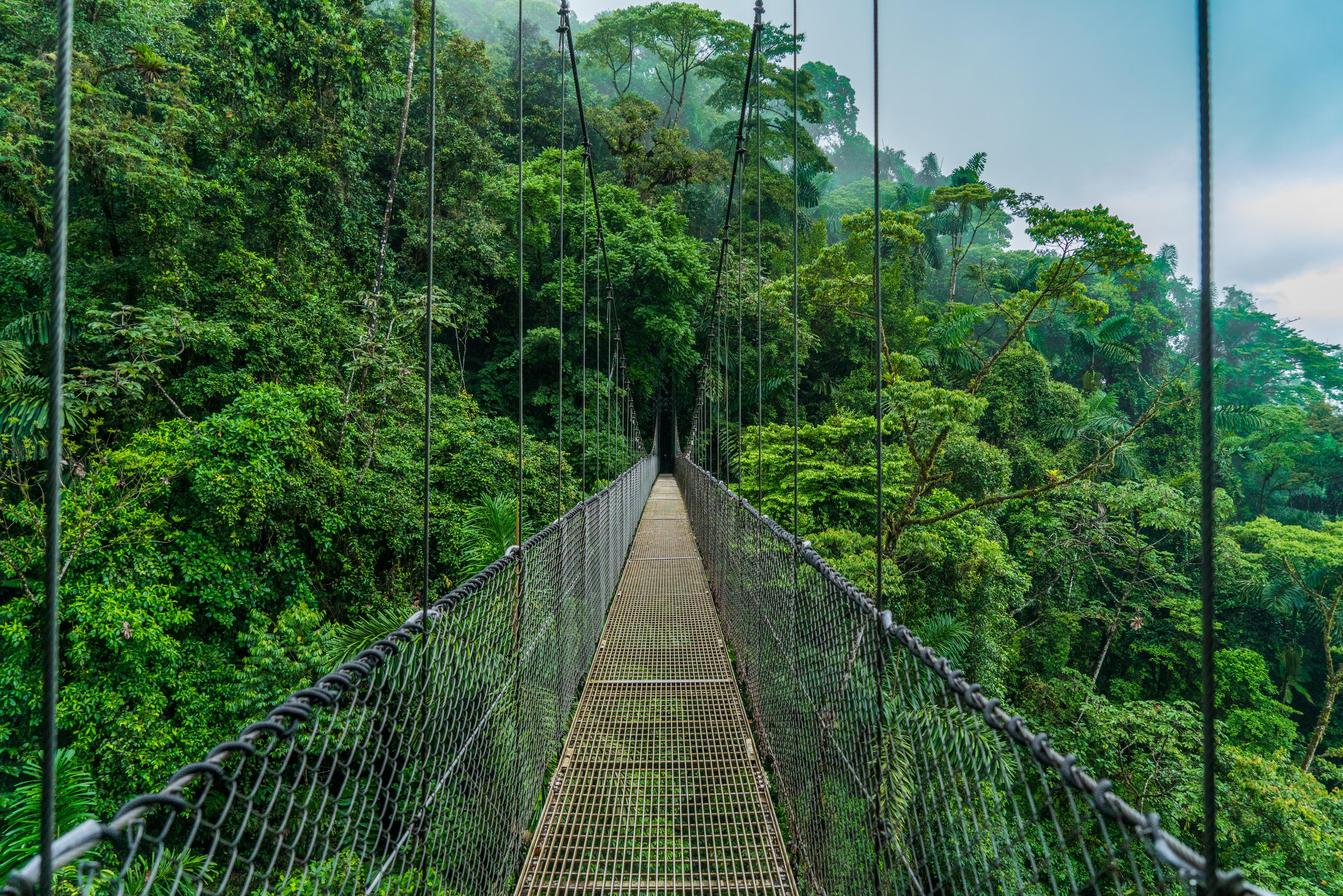 Duschrückwand-Arenal-Hängebrücke - Costa Rica 