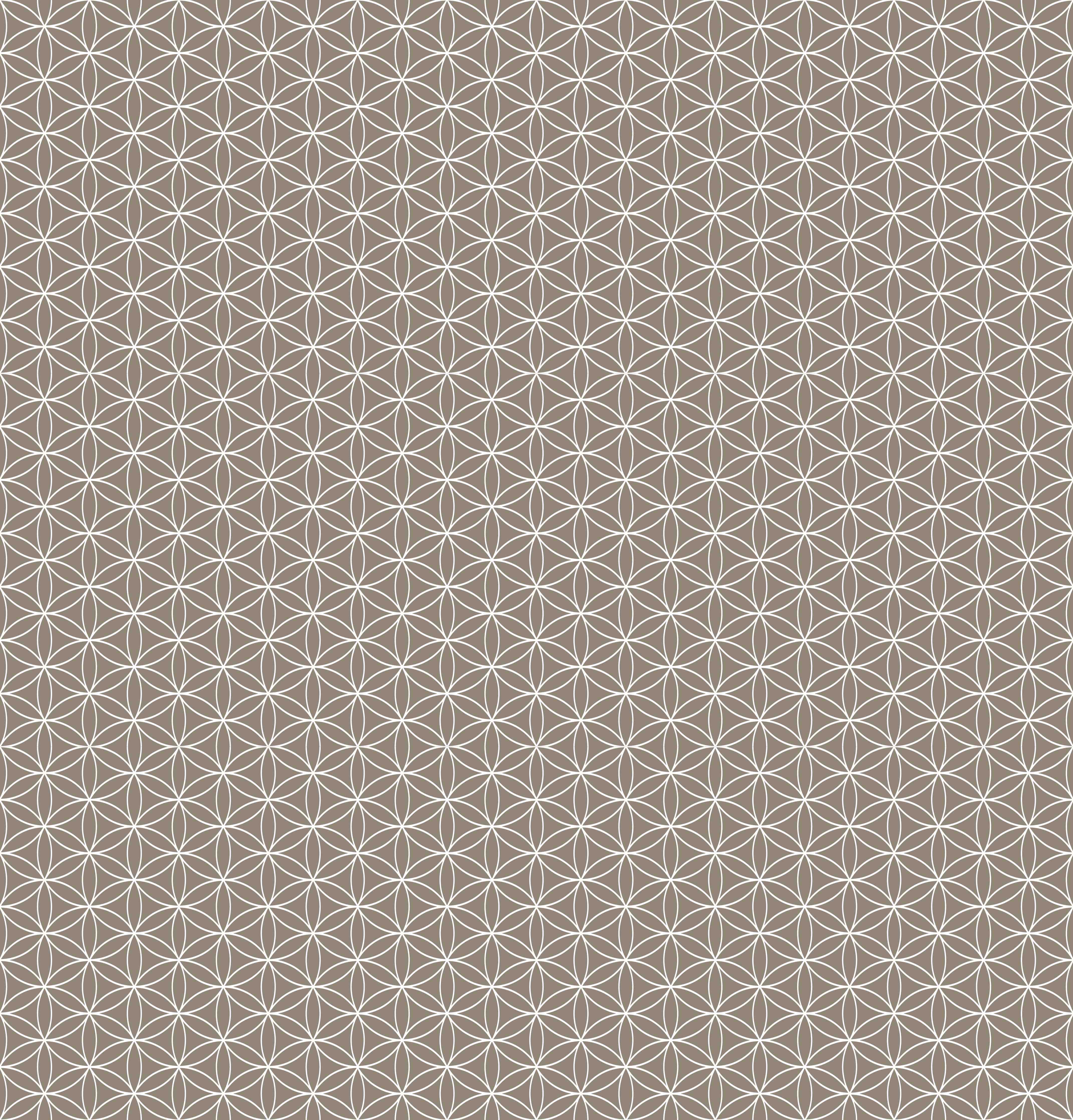 Duschrückwand-Beige Blümchenmuster mit geometrischem Design