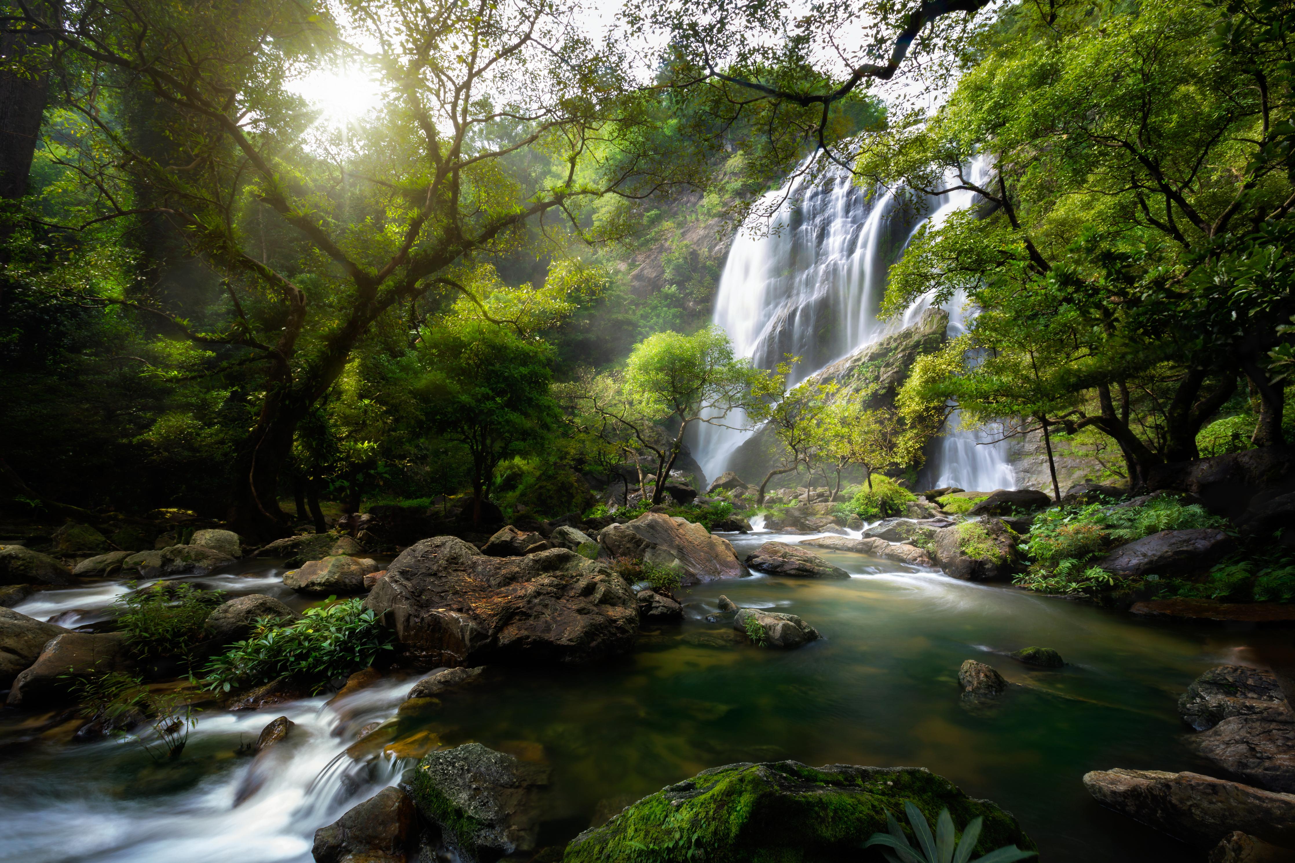 Duschrückwand-Bergbach und Wasserfall in Thailand