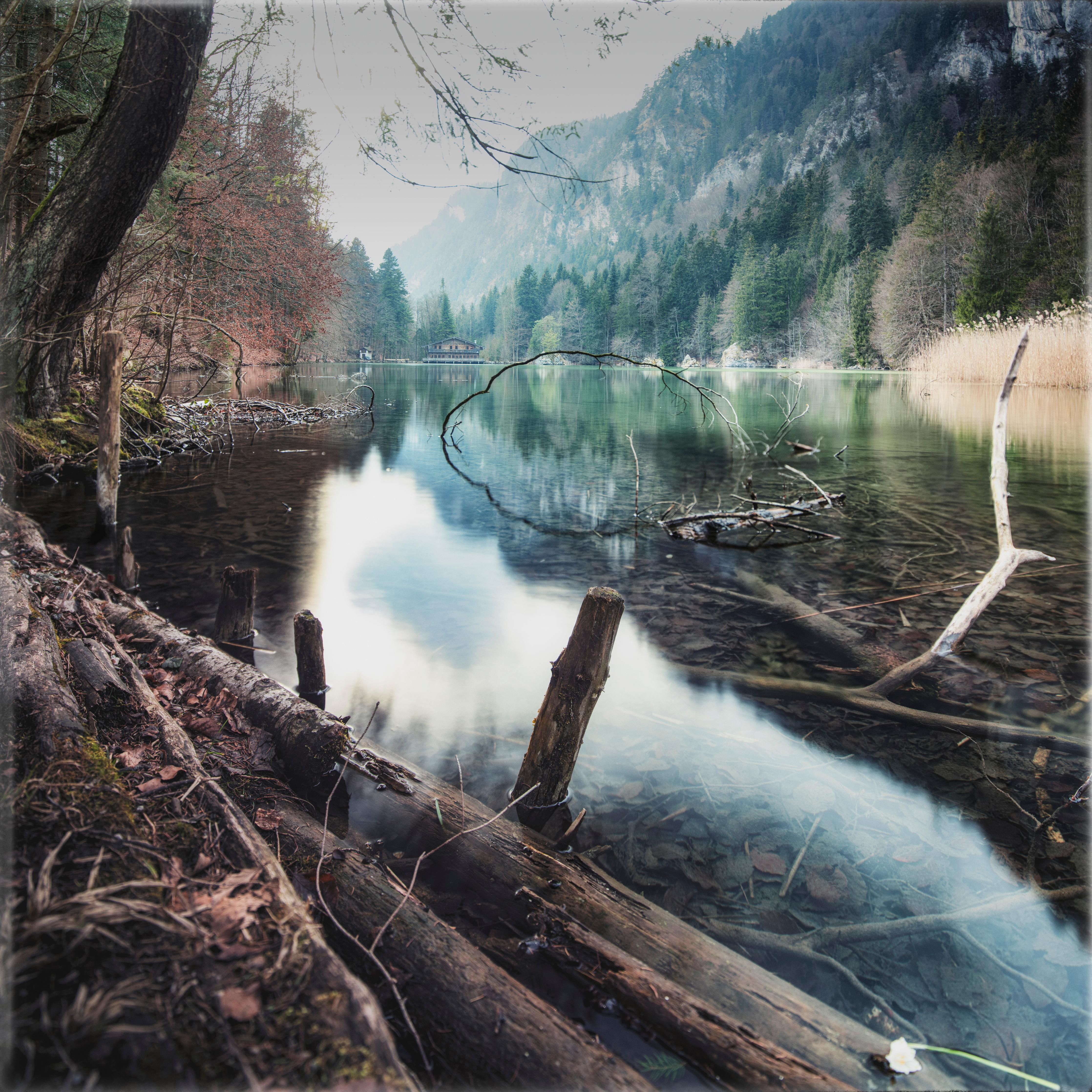 Duschrückwand-Bergsee im Kaskada Wald