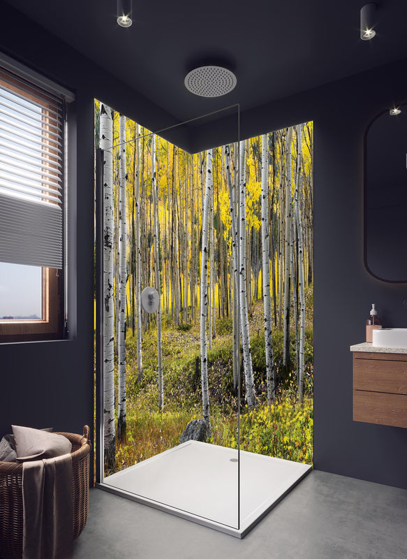 Duschrückwand - Birken im Herbst in hellem Badezimmer mit Regenduschkopf  - zweiteilige Eck-Duschrückwand