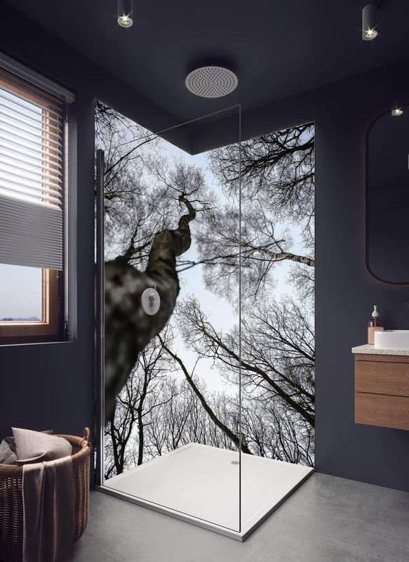 Duschrückwand - Birkenwald im WInter in hellem Badezimmer mit Regenduschkopf  - zweiteilige Eck-Duschrückwand
