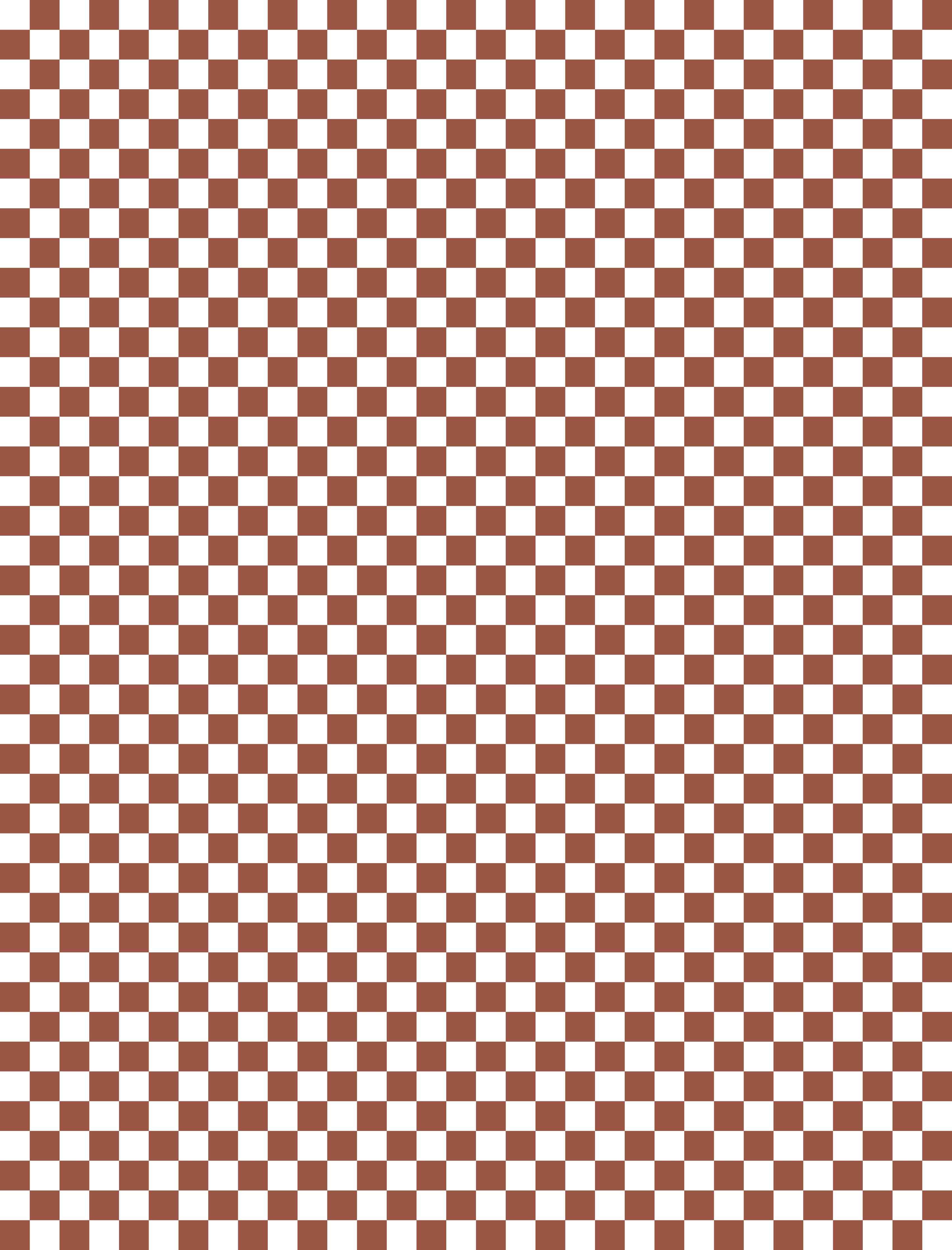 Duschrückwand-Braune und Weiße Karomuster