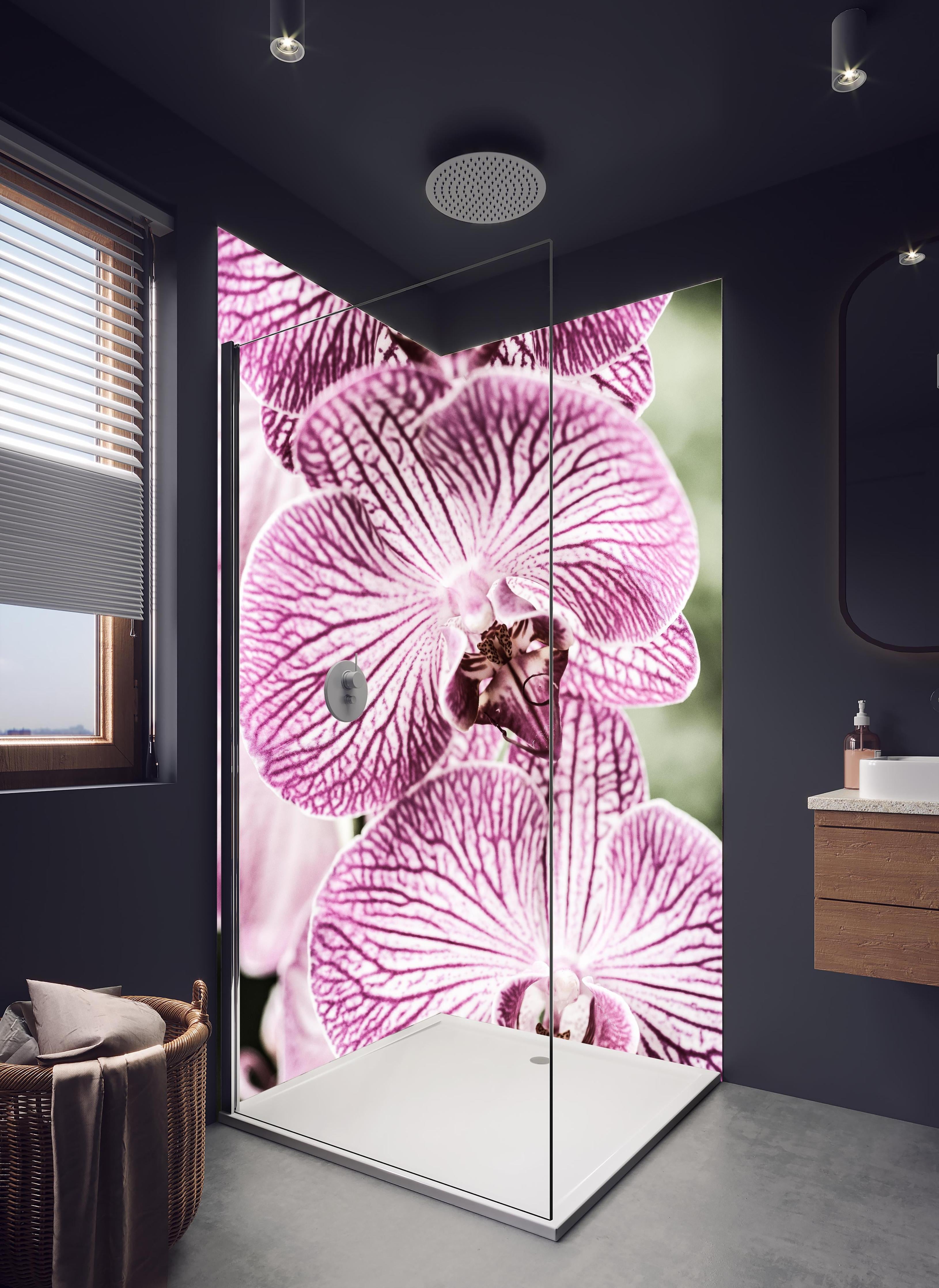 Duschrückwand - Detailreiche Orchideen Makroaufnahme in Pink-Lila in hellem Badezimmer mit Regenduschkopf  - zweiteilige Eck-Duschrückwand