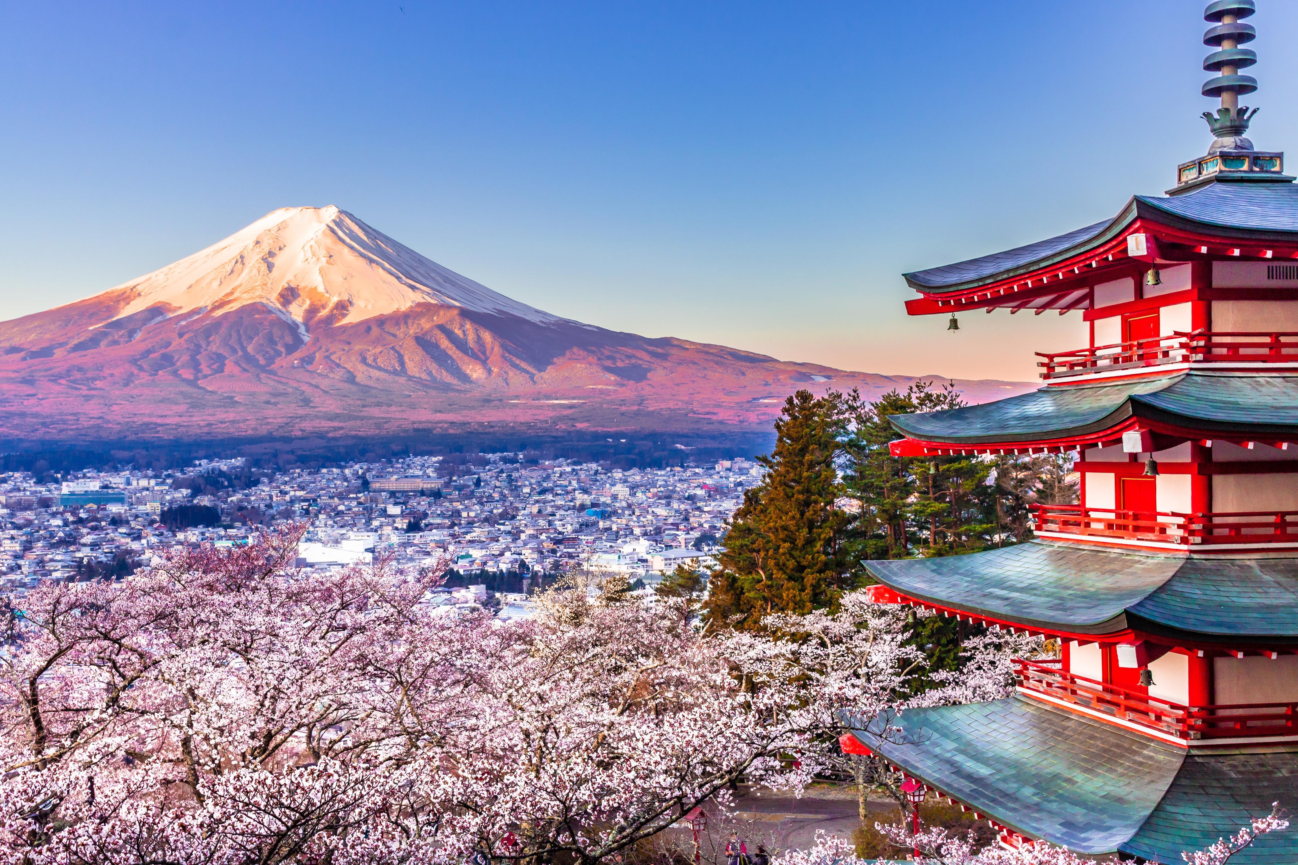 Duschrückwand-Anziehender Anblick auf Berg Fuji