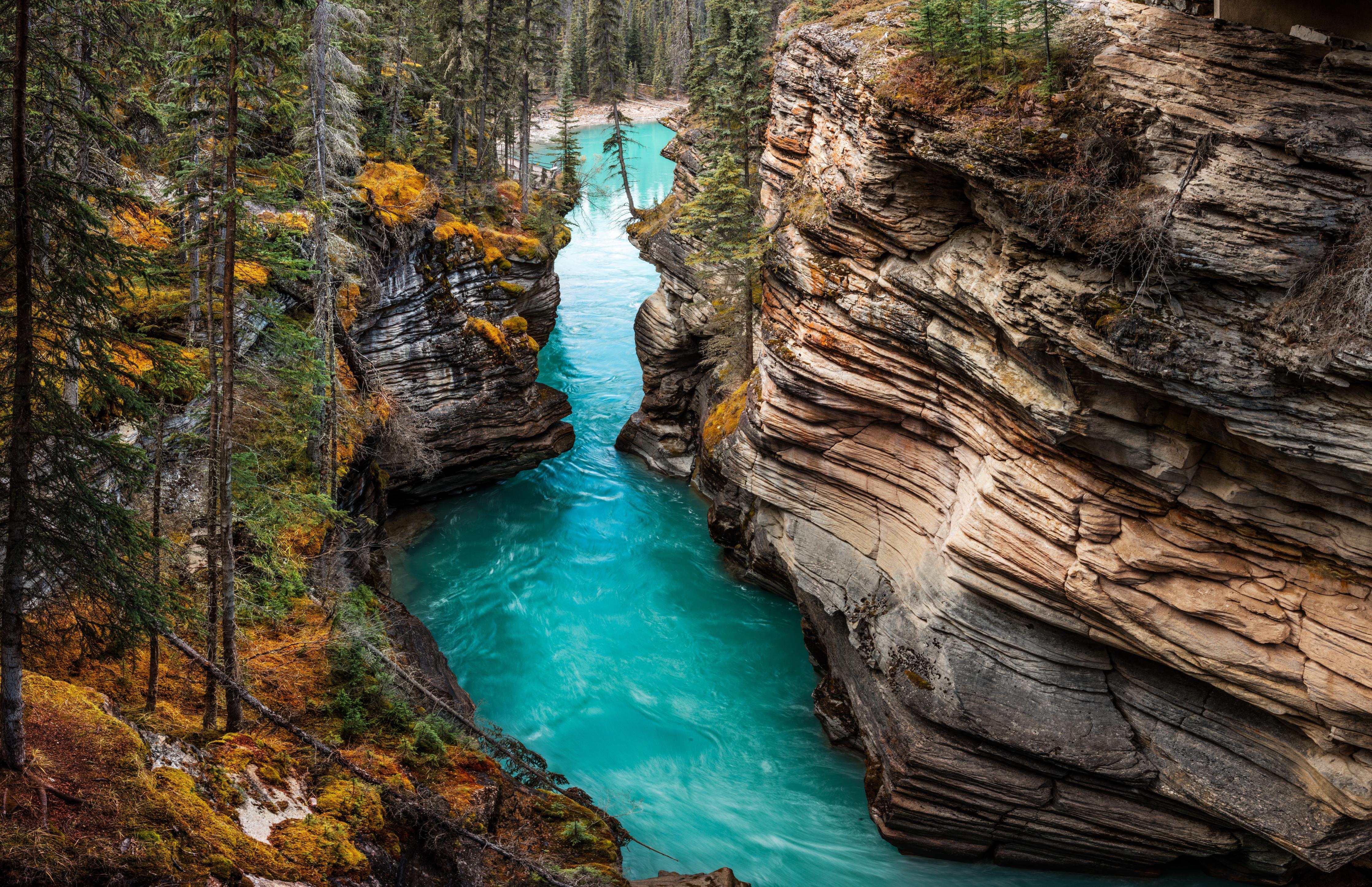 Duschrückwand-Athabasca Wasserfälle - Kanada