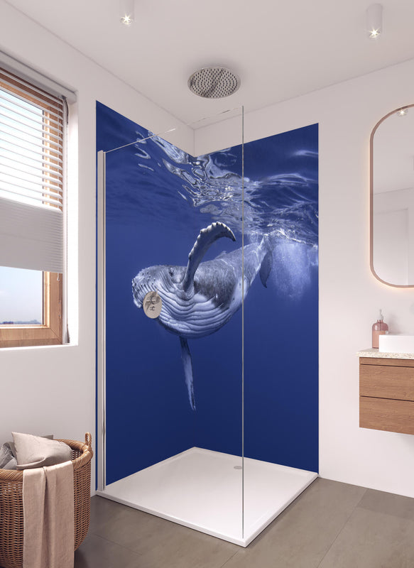 Duschrückwand - Baby-Buckelwal-Kalb im blauen Wasser in hellem Badezimmer mit Regenduschkopf  - zweiteilige Eck-Duschrückwand