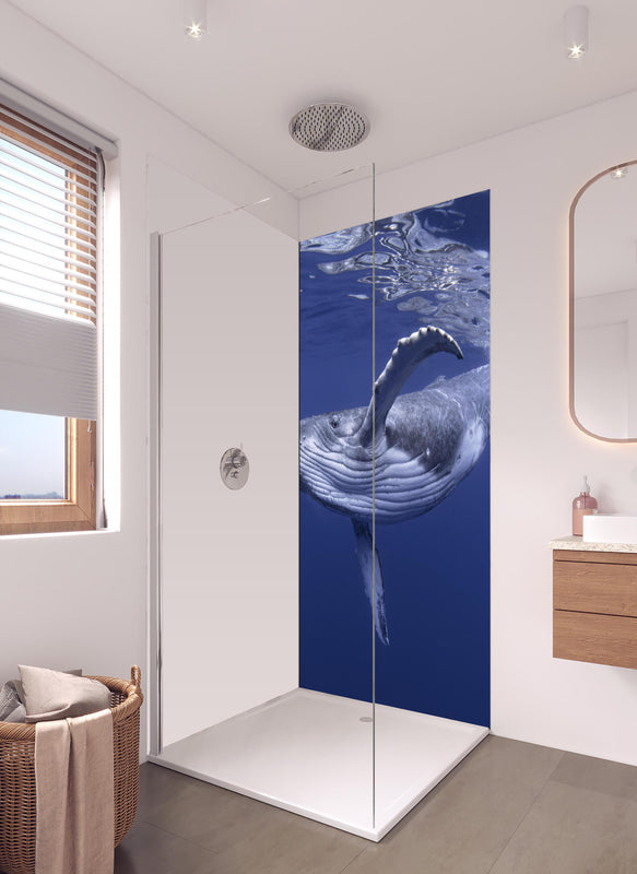 Duschrückwand - Baby-Buckelwal-Kalb im blauen Wasser in hellem Badezimmer mit Regenduschkopf - einteilige Duschrückwand