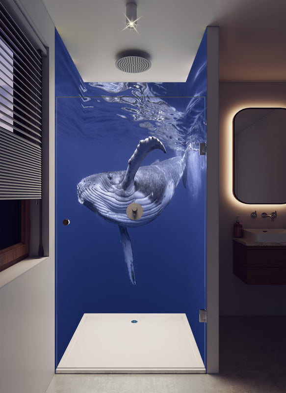 Duschrückwand - Baby-Buckelwal-Kalb im blauen Wasser in luxuriöser Dusche mit Regenduschkopf