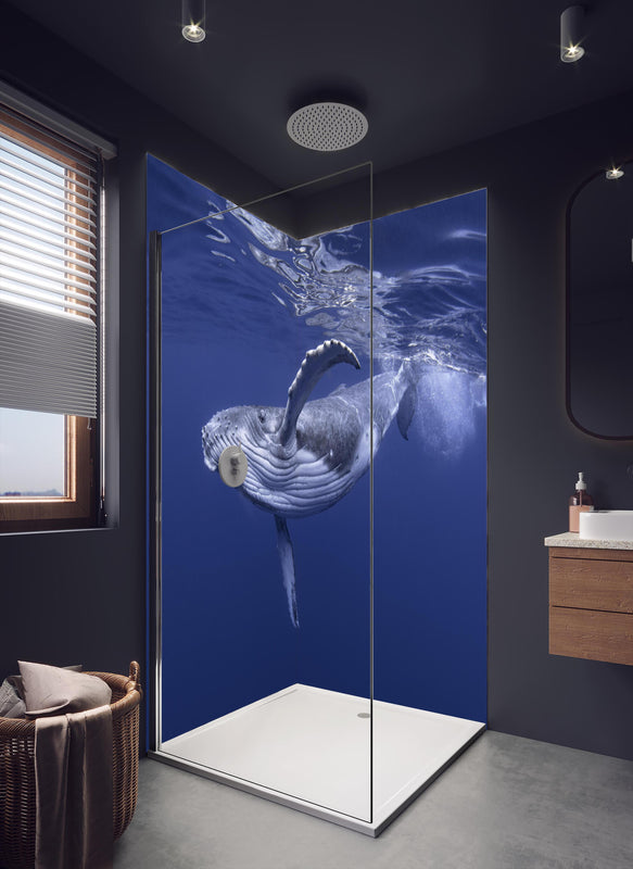 Duschrückwand - Baby-Buckelwal-Kalb im blauen Wasser in dunklem Badezimmer mit Regenduschkopf