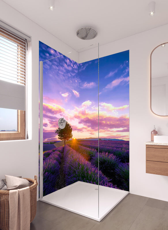 Duschrückwand - Baum im Lavendelfeld bei Sonnenuntergang in der Provence in hellem Badezimmer mit Regenduschkopf  - zweiteilige Eck-Duschrückwand