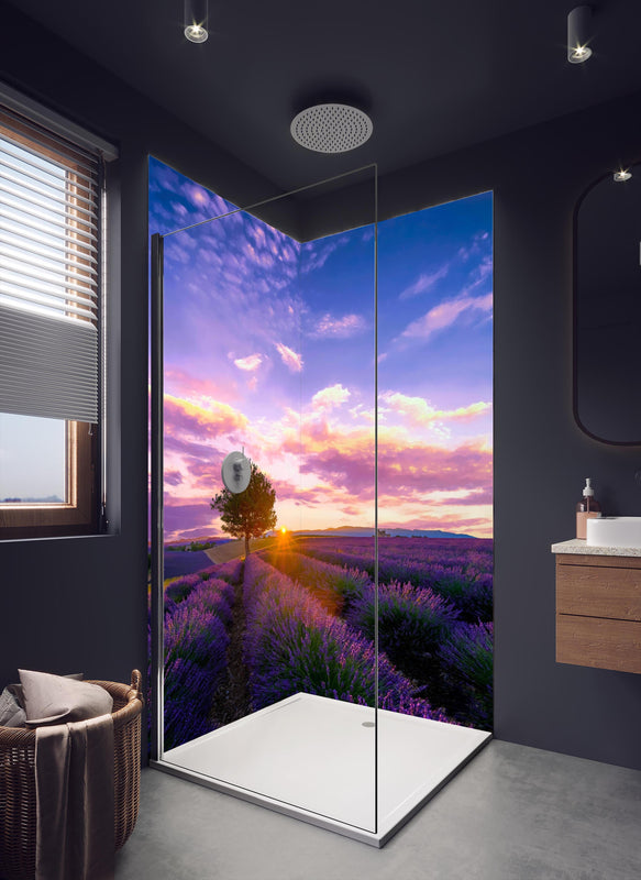 Duschrückwand - Baum im Lavendelfeld bei Sonnenuntergang in der Provence in dunklem Badezimmer mit Regenduschkopf