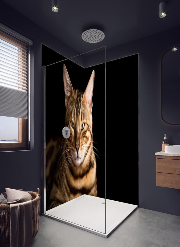 Duschrückwand - Bengalkatze Portrait in dunklem Badezimmer mit Regenduschkopf