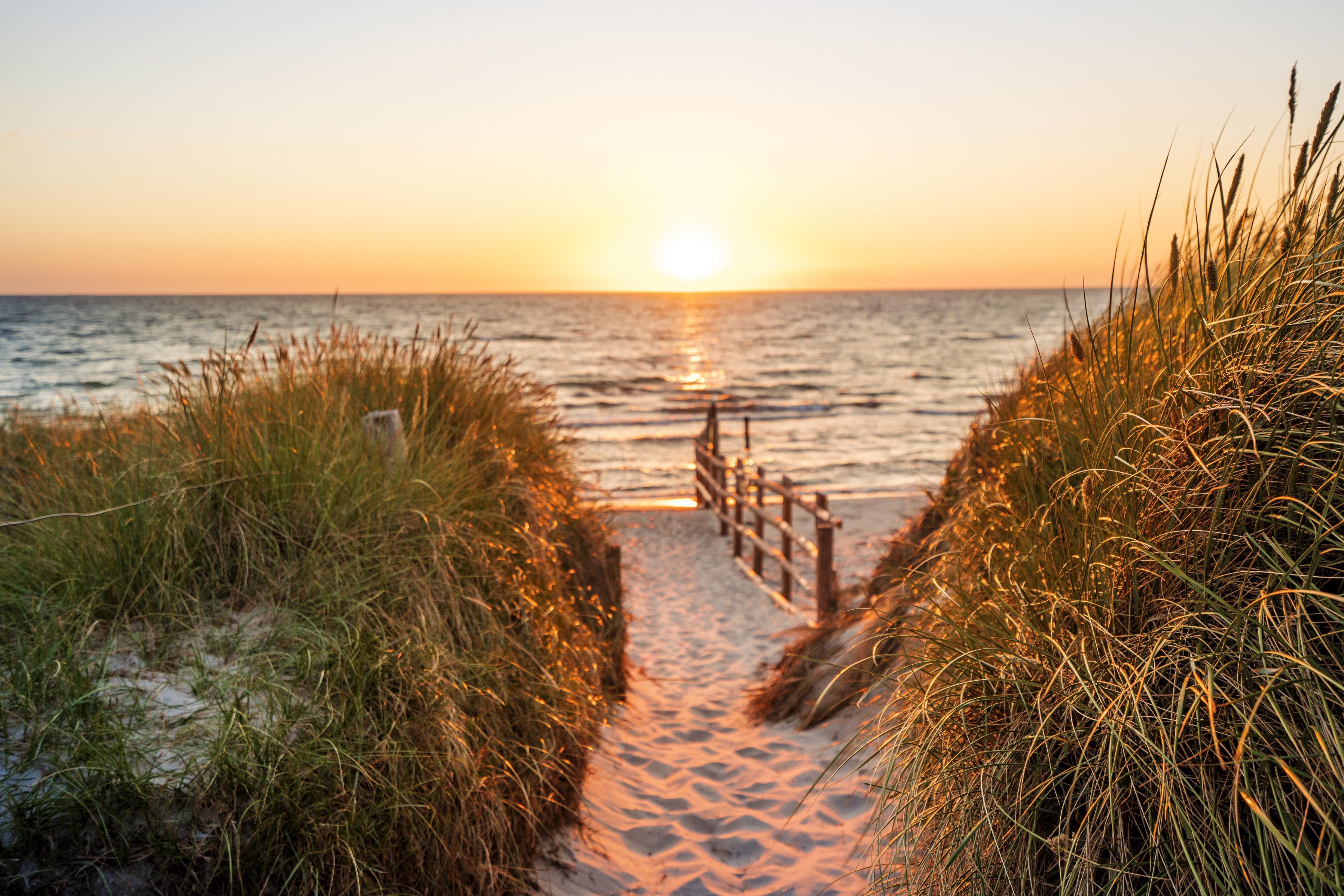 Duschrückwand-Dünen am Strand an der Nordsee bei Sonnenuntergang